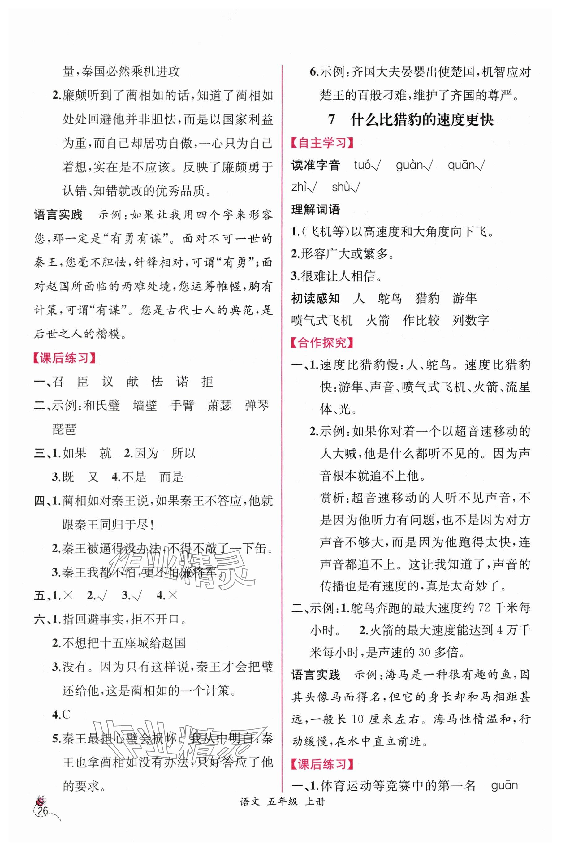 2025年課時練人民教育出版社五年級語文上冊人教版 參考答案第6頁