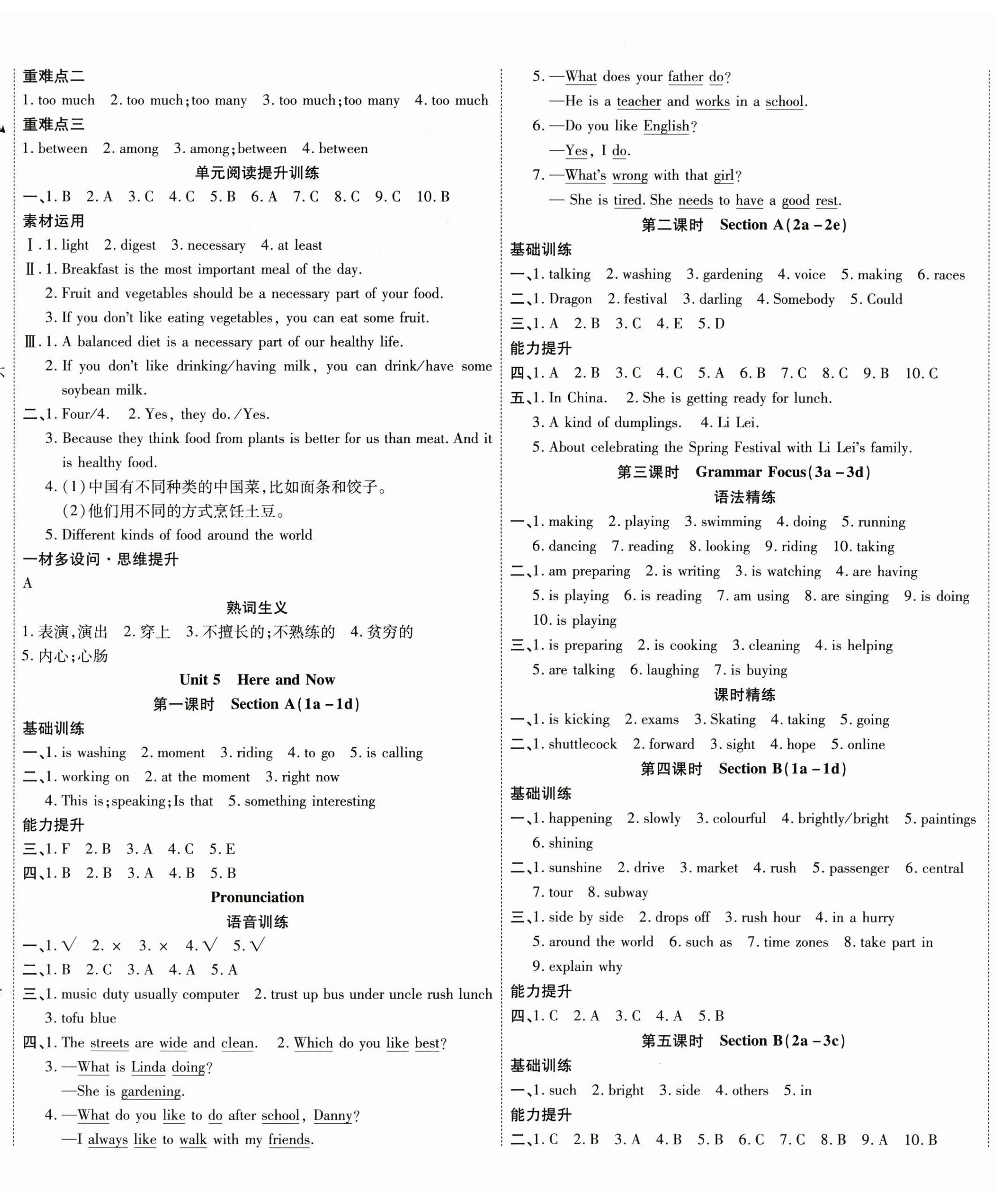 2025年畅行课堂七年级英语下册人教版 第5页