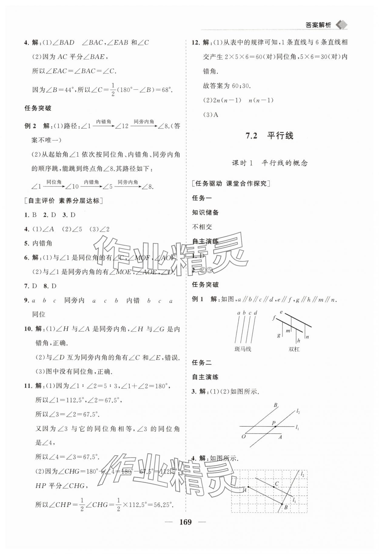 2025年新課程同步練習冊七年級數學下冊人教版 第5頁