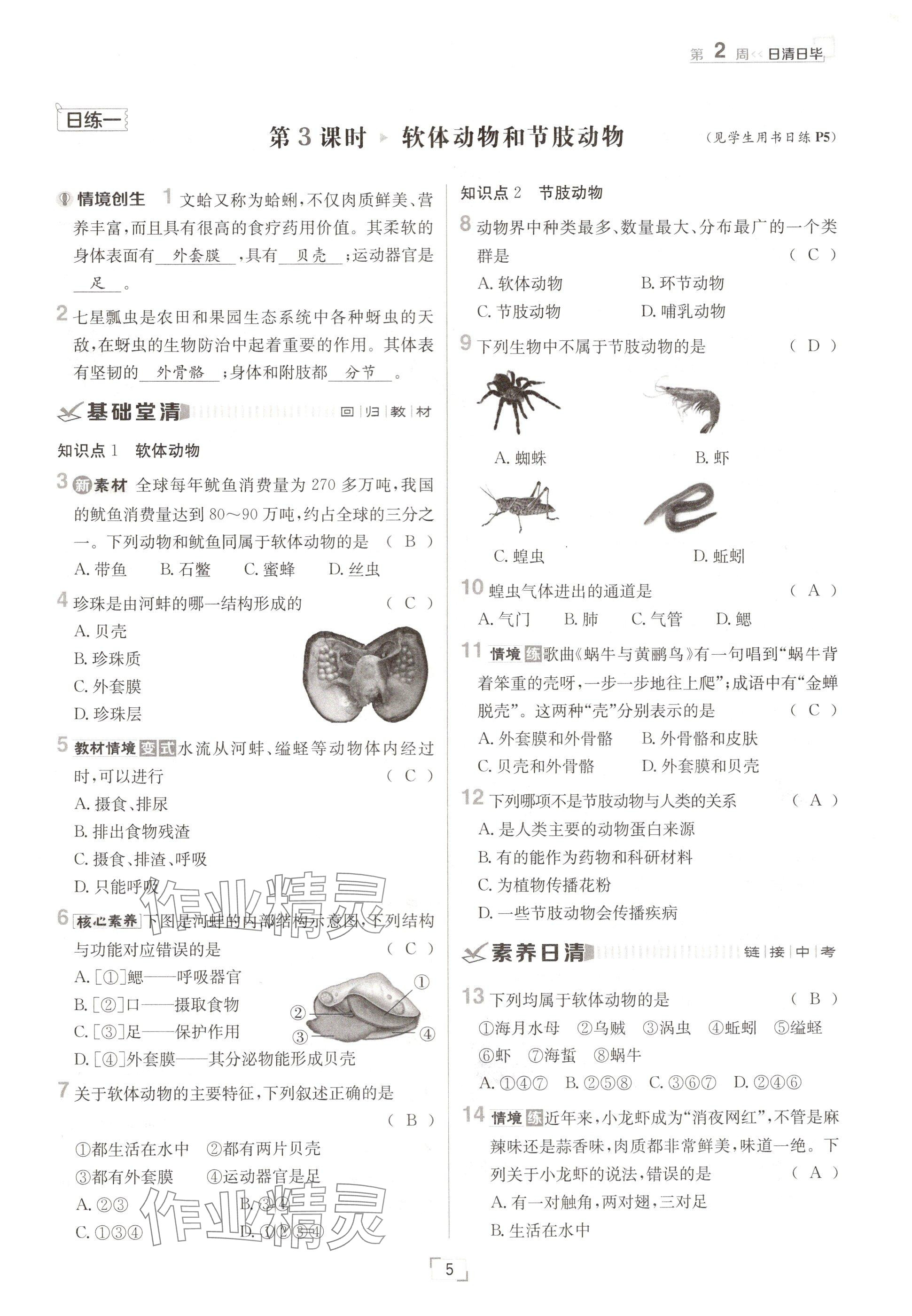 2024年日清周練八年級生物上冊人教版 參考答案第5頁