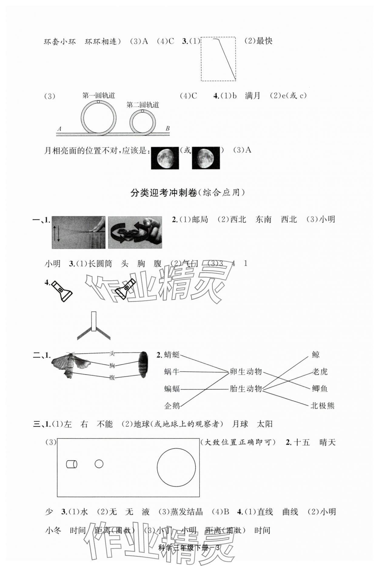 2025年浙江各地期末迎考卷三年級科學(xué)下冊教科版 第3頁