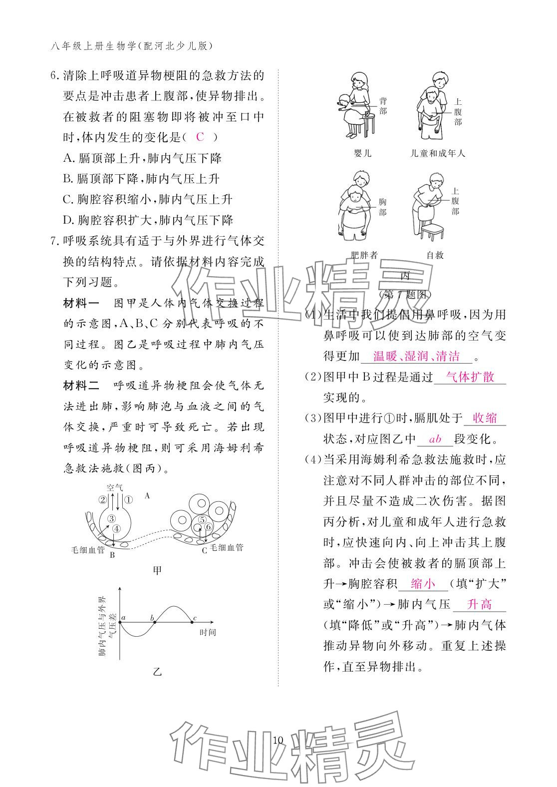 2025年作业本江西教育出版社八年级生物上册冀少版&nbsp;参考答案第10页