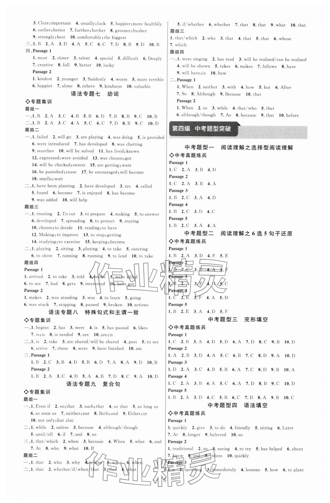 2024年全程导航初中总复习英语鲁教版烟台专版 第6页