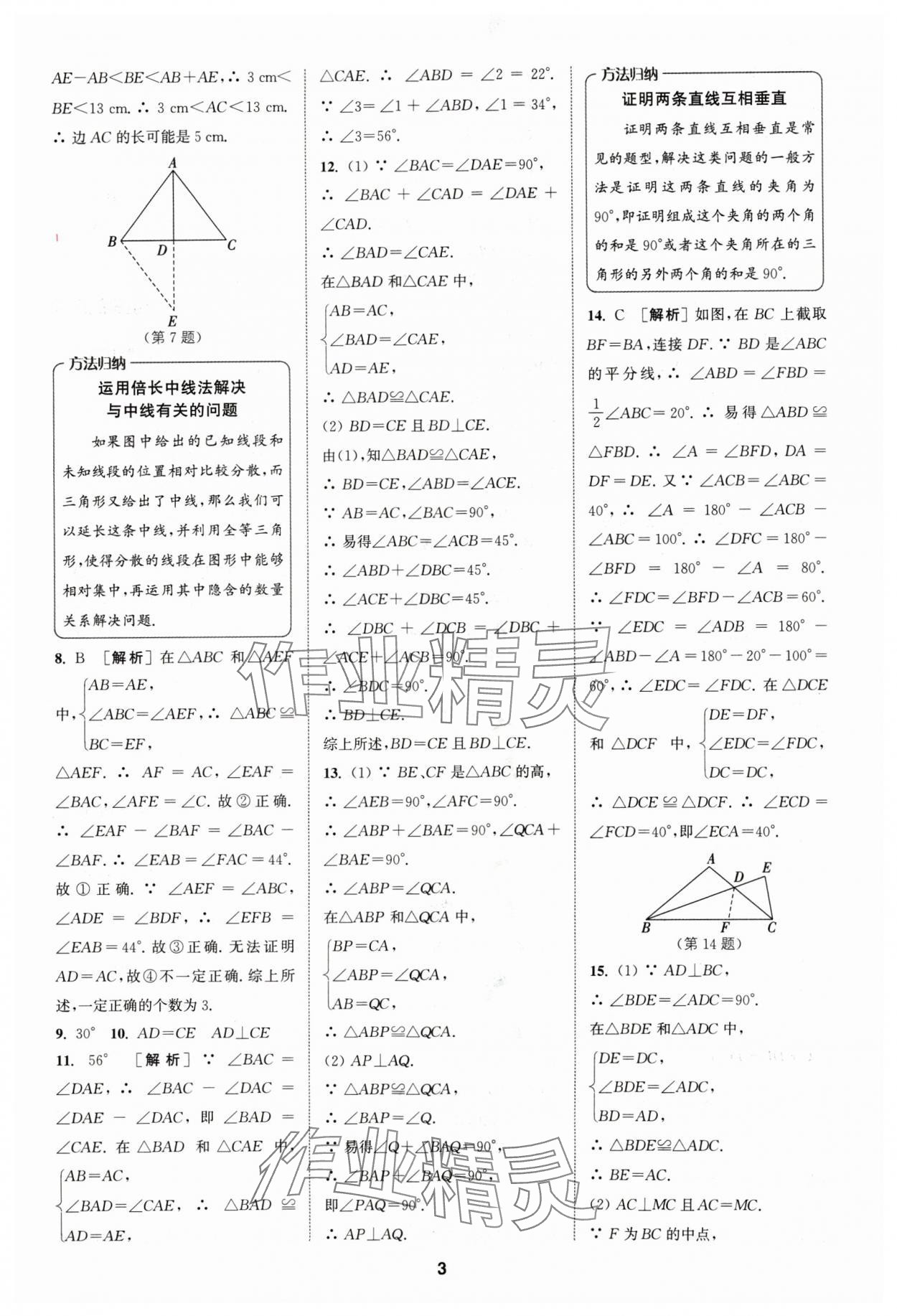 2024年拔尖特训八年级数学上册苏科版 参考答案第3页