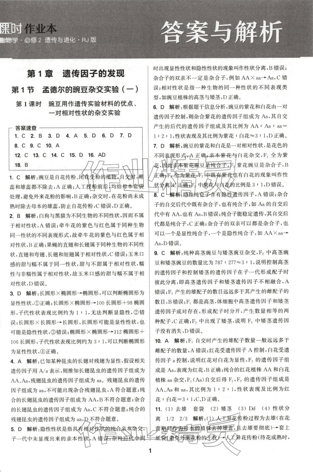 2025年通成學典課時作業本高中生物必修第二冊人教版 第1頁