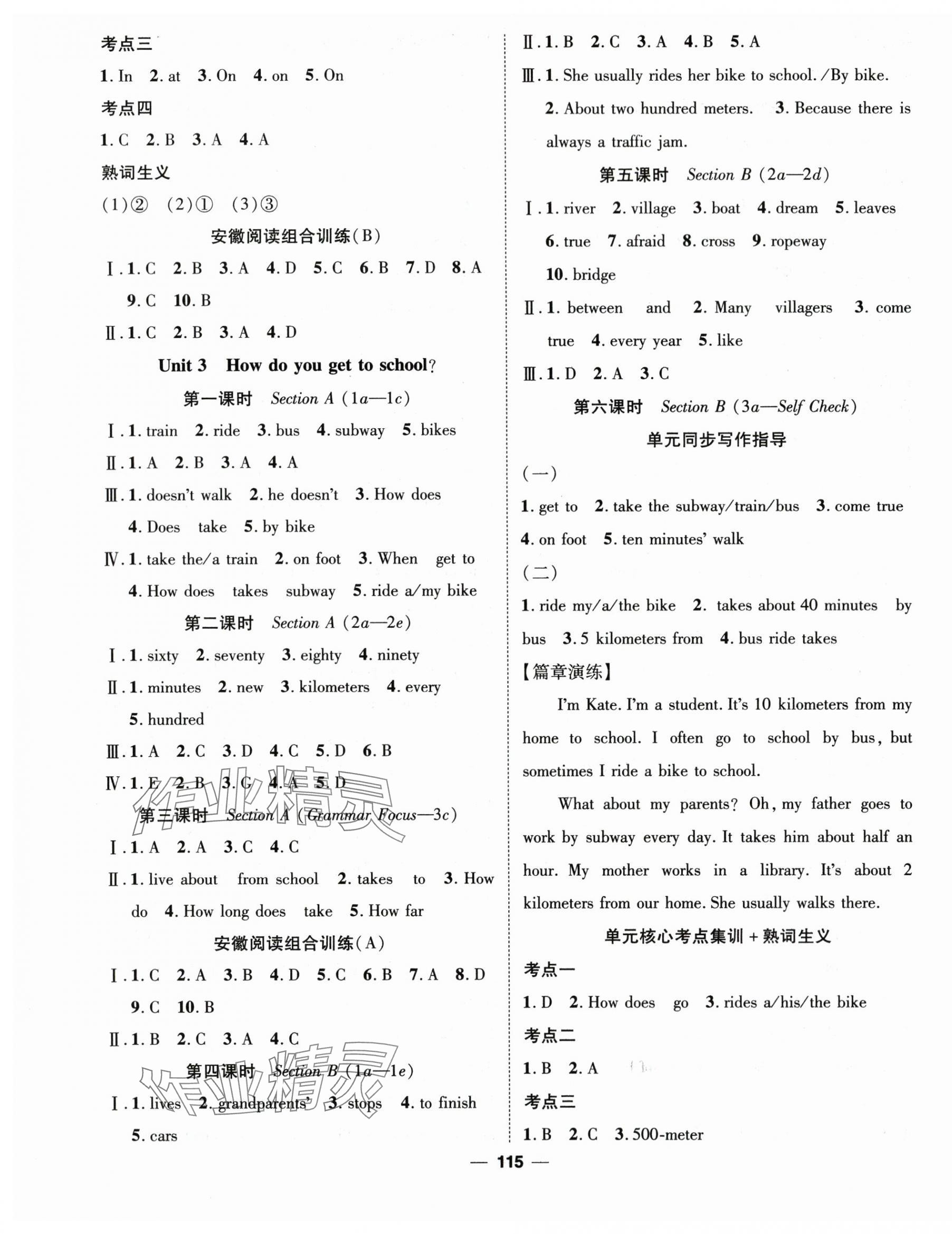 2024年精英新課堂七年級(jí)英語(yǔ)下冊(cè)人教版安徽專版 第3頁(yè)