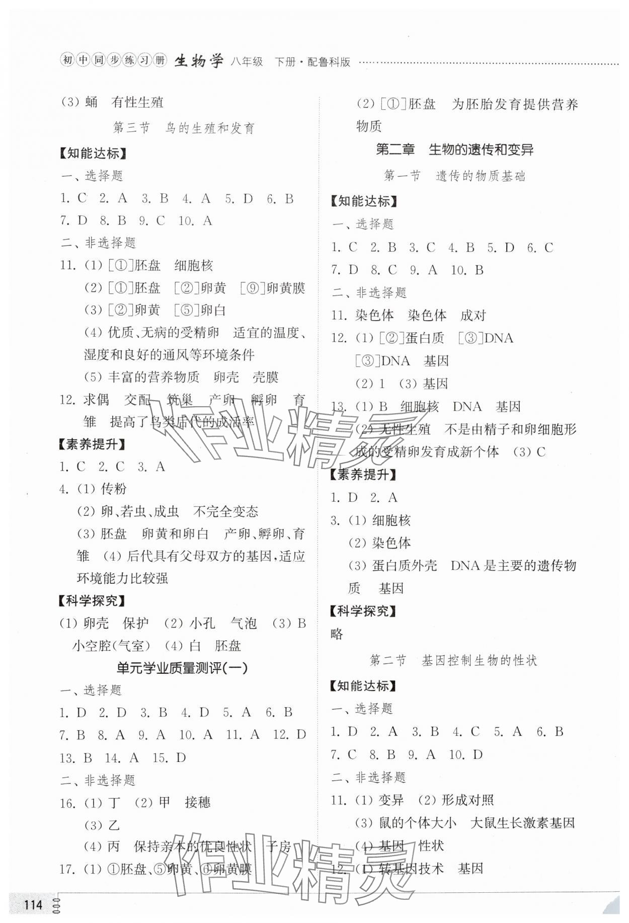 2025年初中同步練習冊八年級生物學下冊魯科版54制山東教育出版社 第2頁