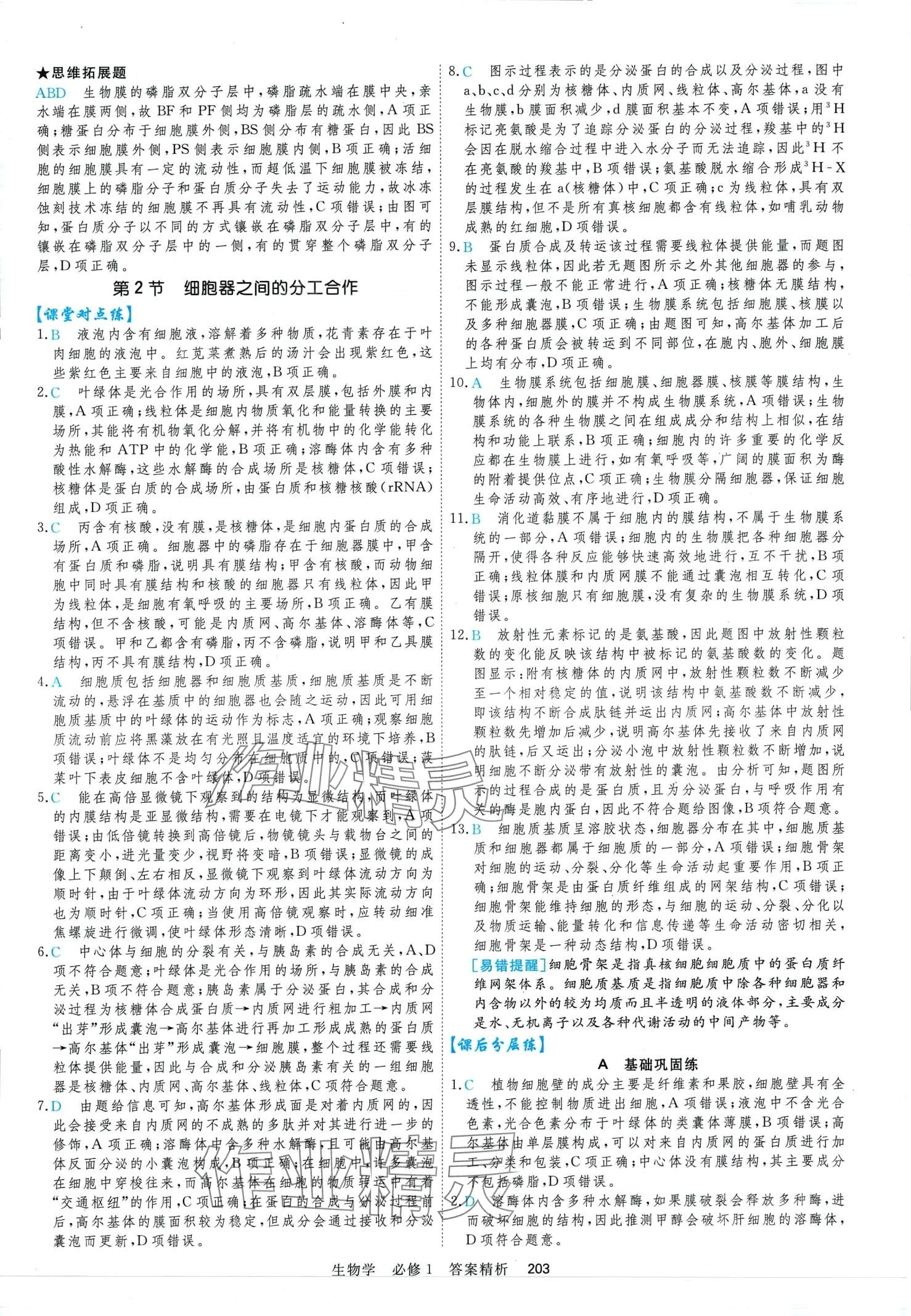 2024年課時(shí)周測(cè)月考高中生物必修1 第15頁(yè)