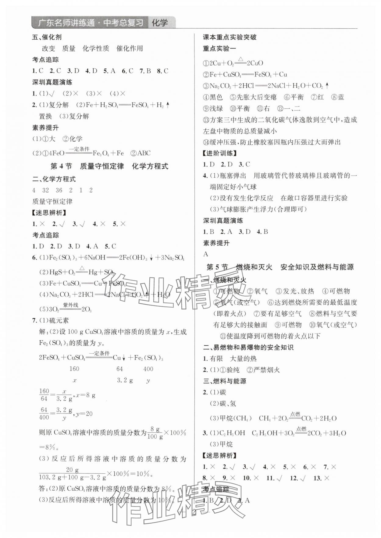 2025年廣東名師講練通中考總復習化學深圳專版 第2頁