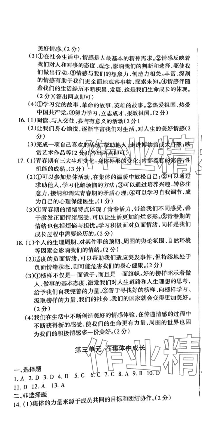 2024年動車組中考總復(fù)習(xí)道德與法治 第7頁
