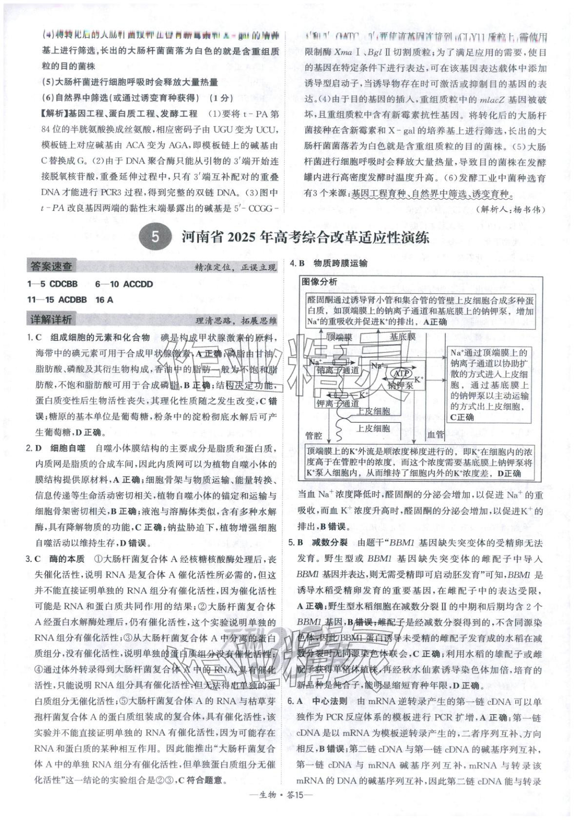 2026年高考模擬試題匯編高中生物全一冊通用版&nbsp;參考答案第15頁