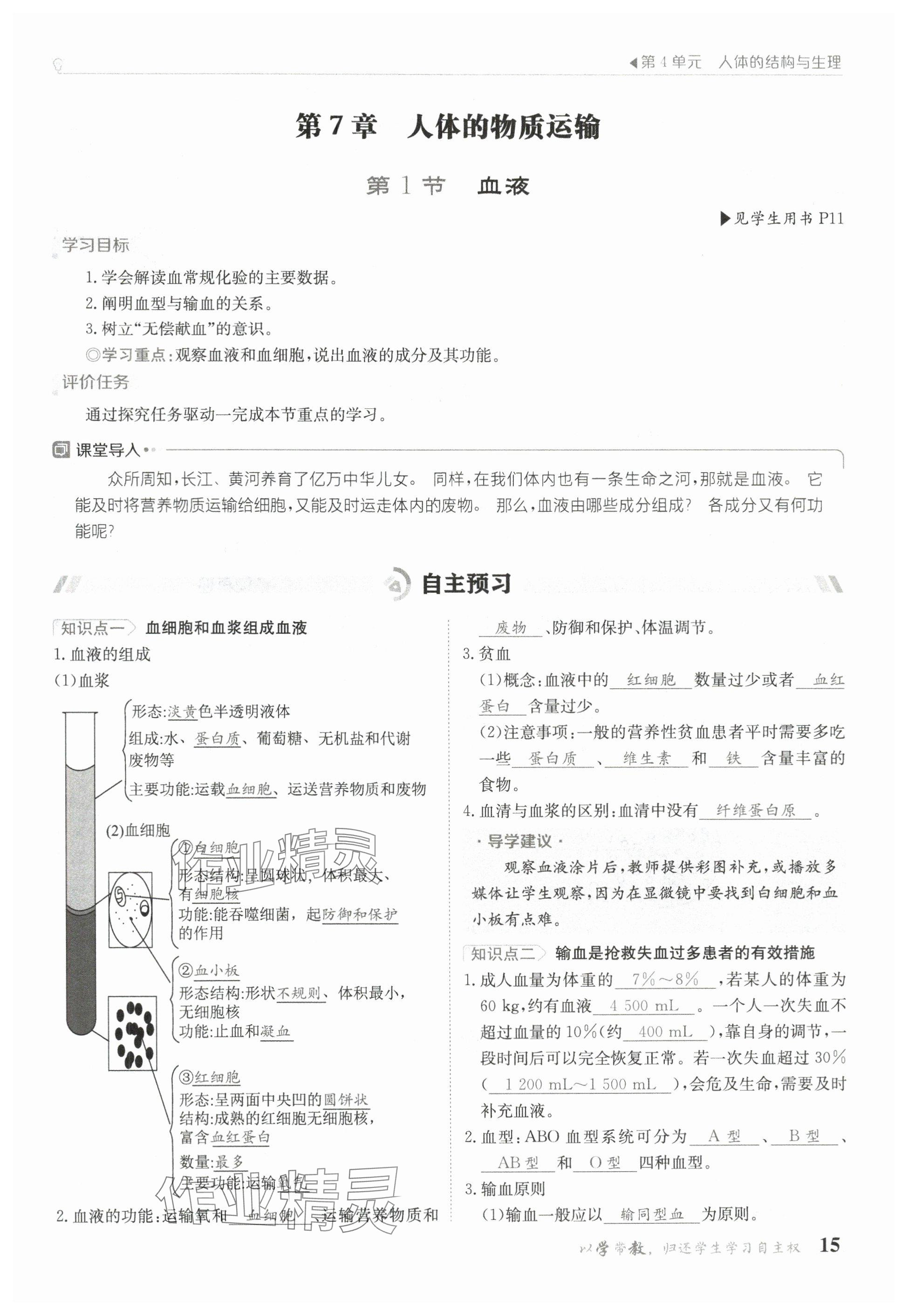 2025年金太陽導(dǎo)學(xué)案七年級生物下冊北師大版 參考答案第13頁
