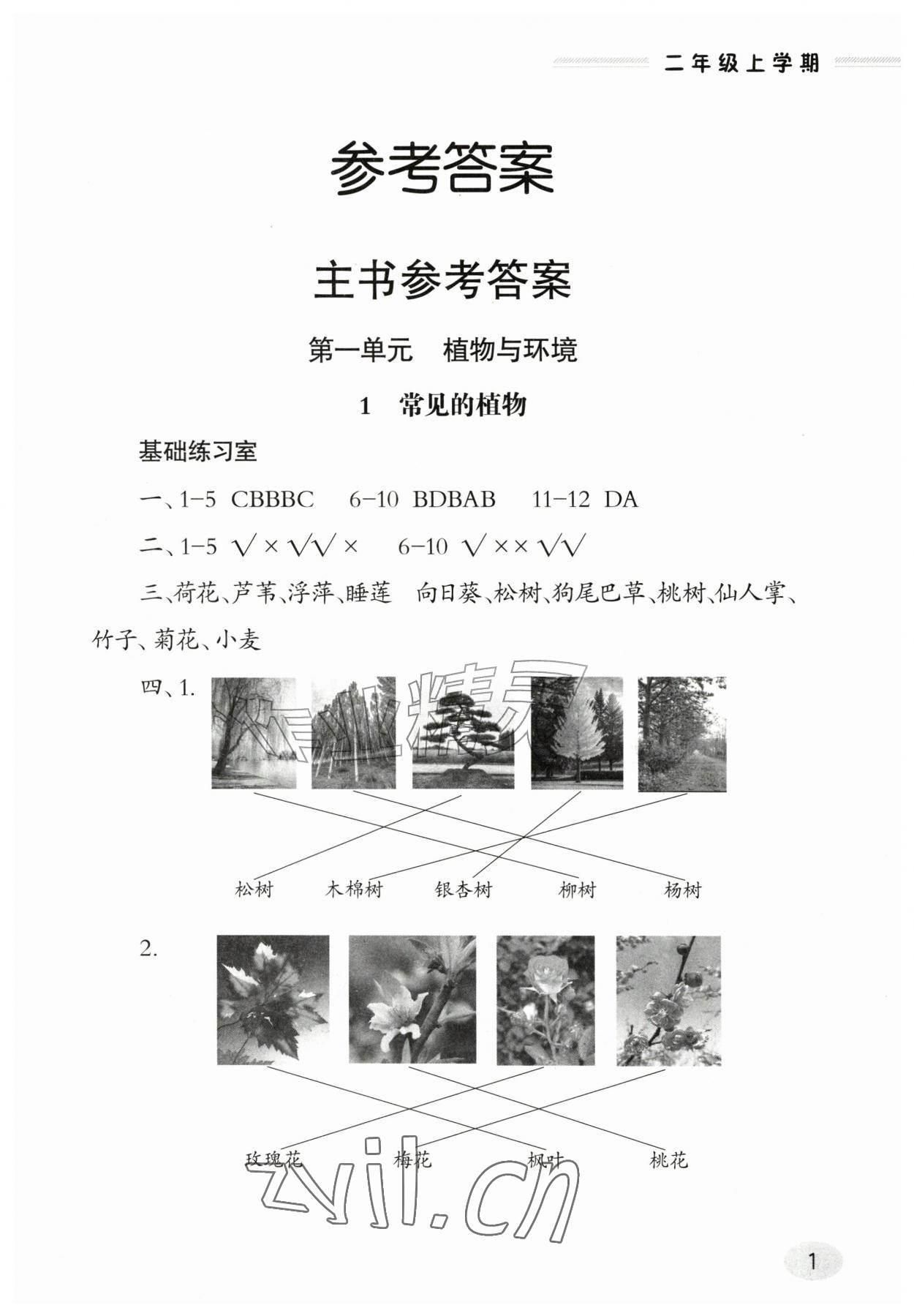 2026年新课堂同步学习与探究二年级科学上学期青岛版&nbsp;第1页