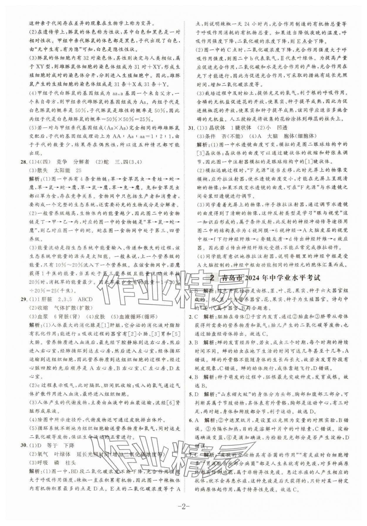 2025年中考試題匯編與解析生物山東專版 參考答案第2頁