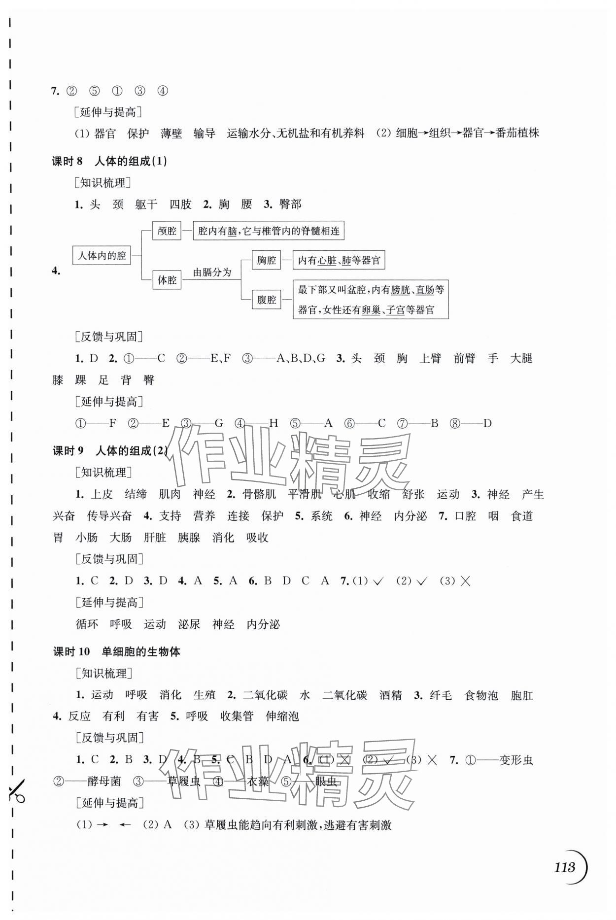 2024年同步練習江蘇七年級生物下冊蘇科版 第3頁