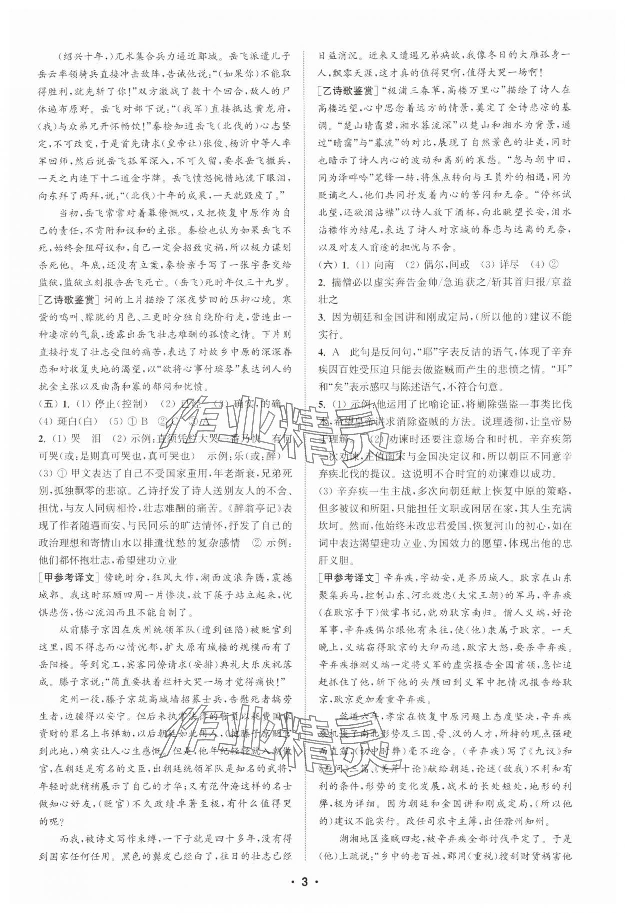 2025年通城學(xué)典初中語文閱讀訓(xùn)練組合訓(xùn)練九年級(jí)南通專版 第3頁