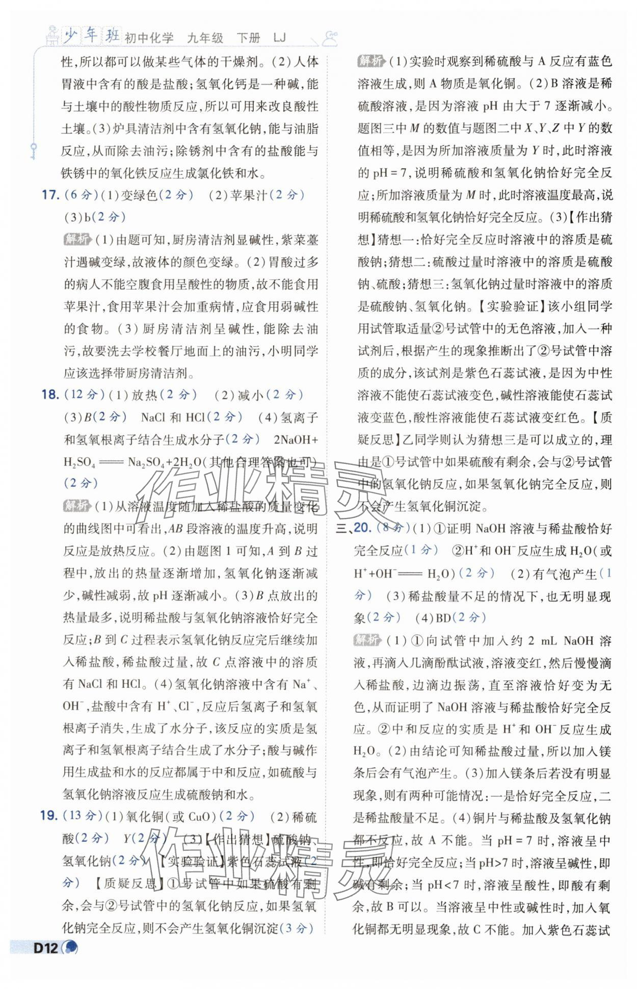 2025年少年班九年級化學下冊魯教版 參考答案第12頁