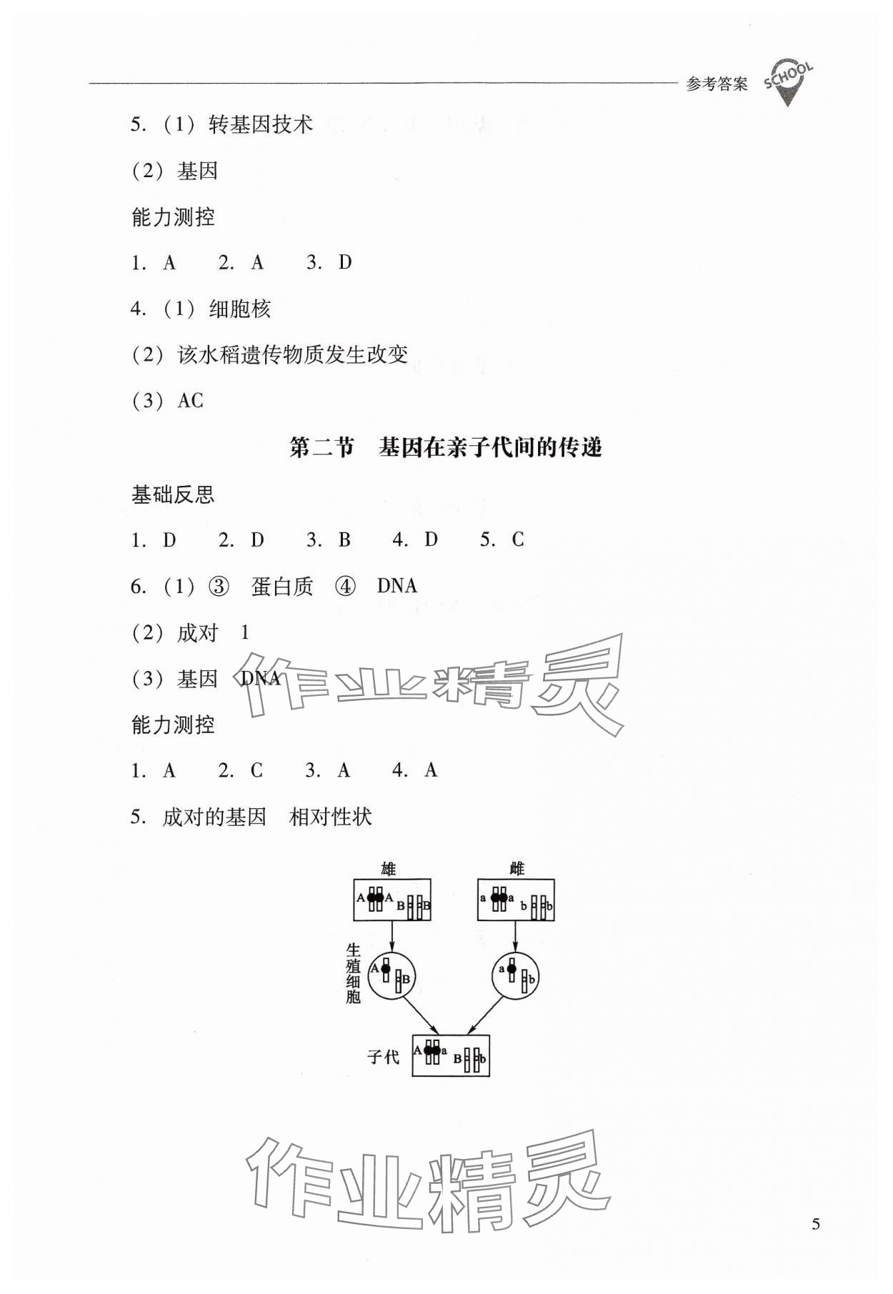 2024年新課程問題解決導(dǎo)學(xué)方案八年級生物下冊人教版 參考答案第5頁