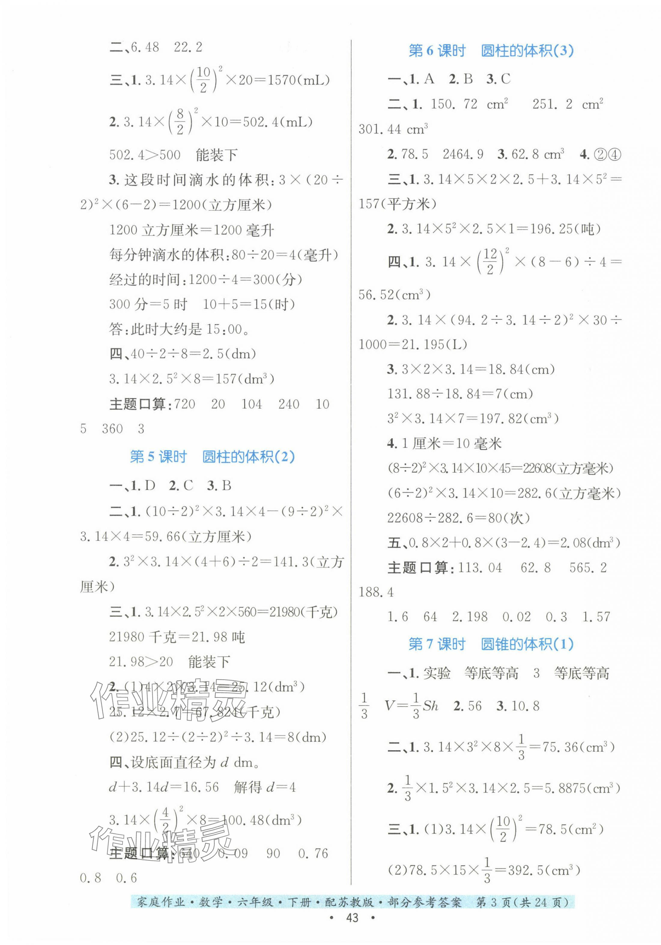 2024年家庭作業(yè)六年級數(shù)學下冊蘇教版 第3頁