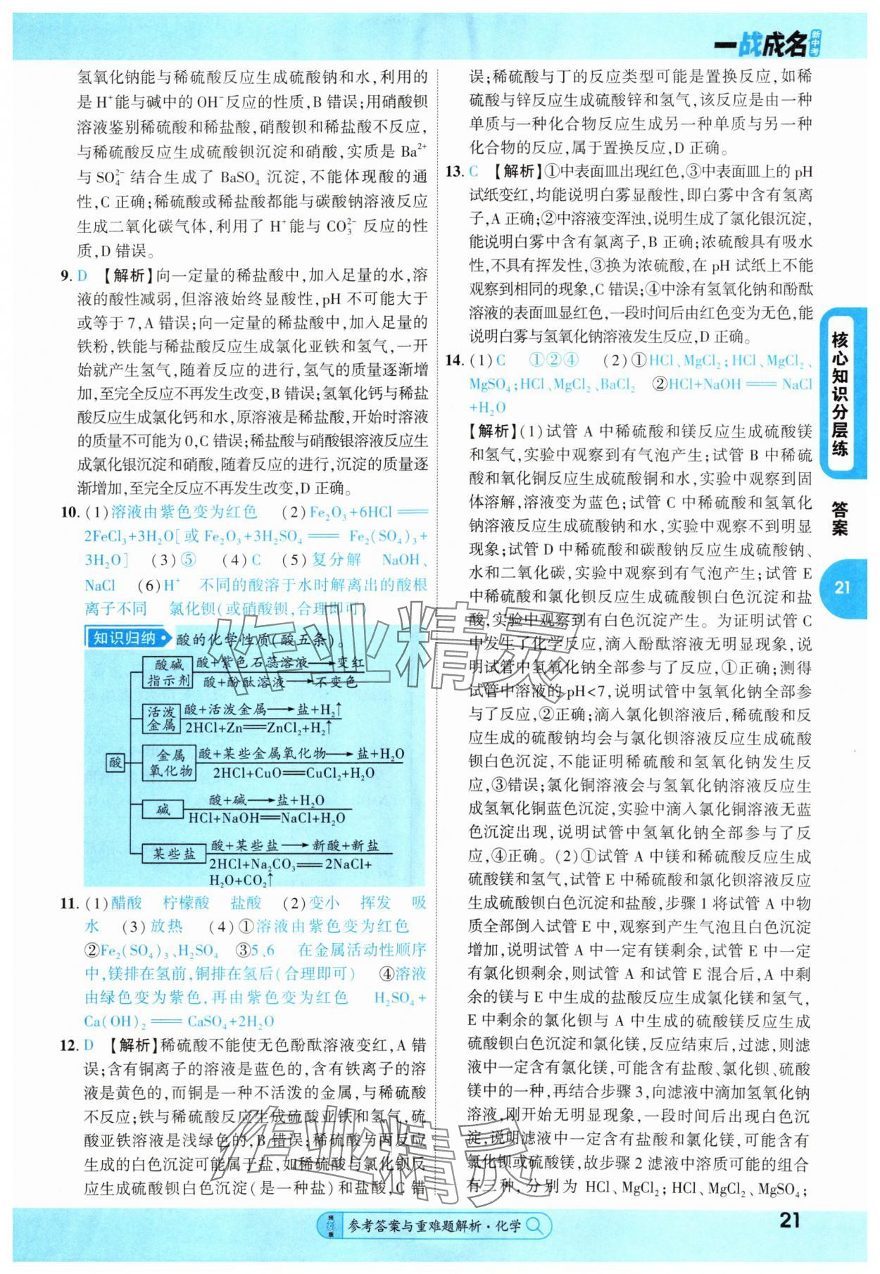 2025年純練版總復(fù)習(xí)化學(xué) 第21頁