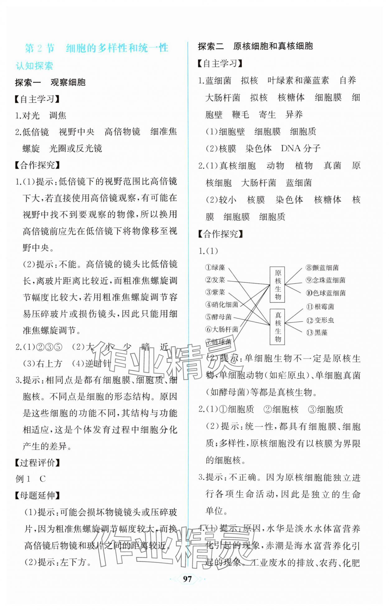 2023年課時練新課程學(xué)習(xí)評價方案生物必修1分子與細(xì)胞增強(qiáng)版 第3頁