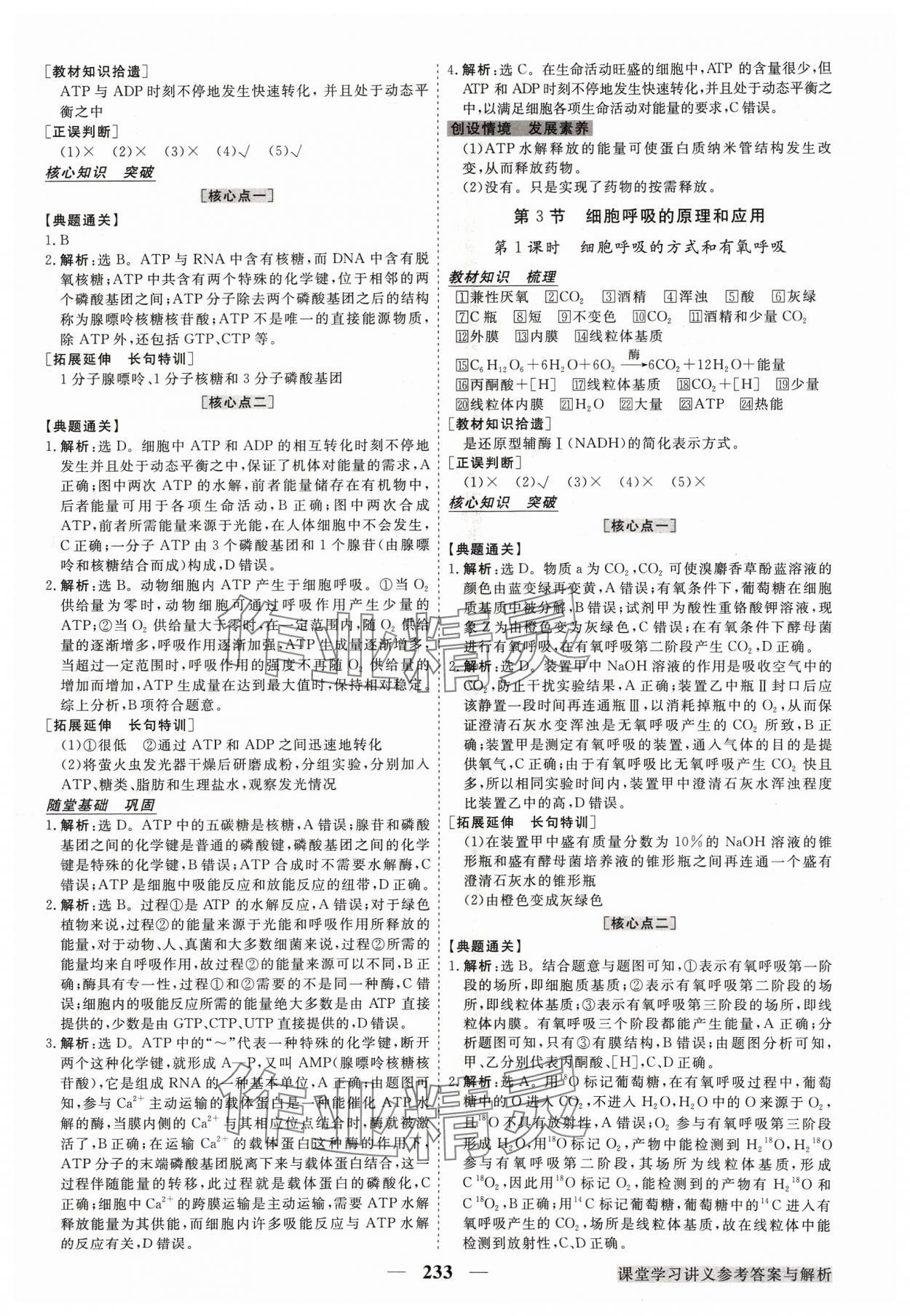 2023年高中同步創(chuàng)新課堂優(yōu)化方案高中生物必修1人教版 參考答案第12頁