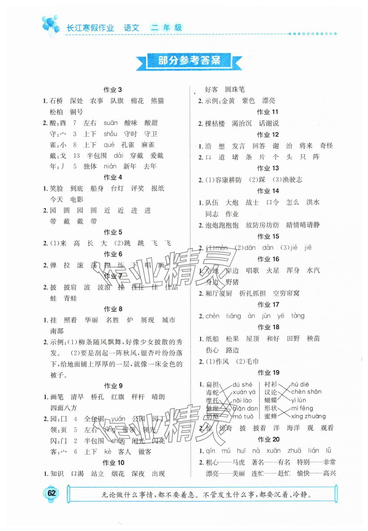 2025年長(zhǎng)江寒假作業(yè)二年級(jí)語(yǔ)文崇文書局 參考答案第1頁(yè)