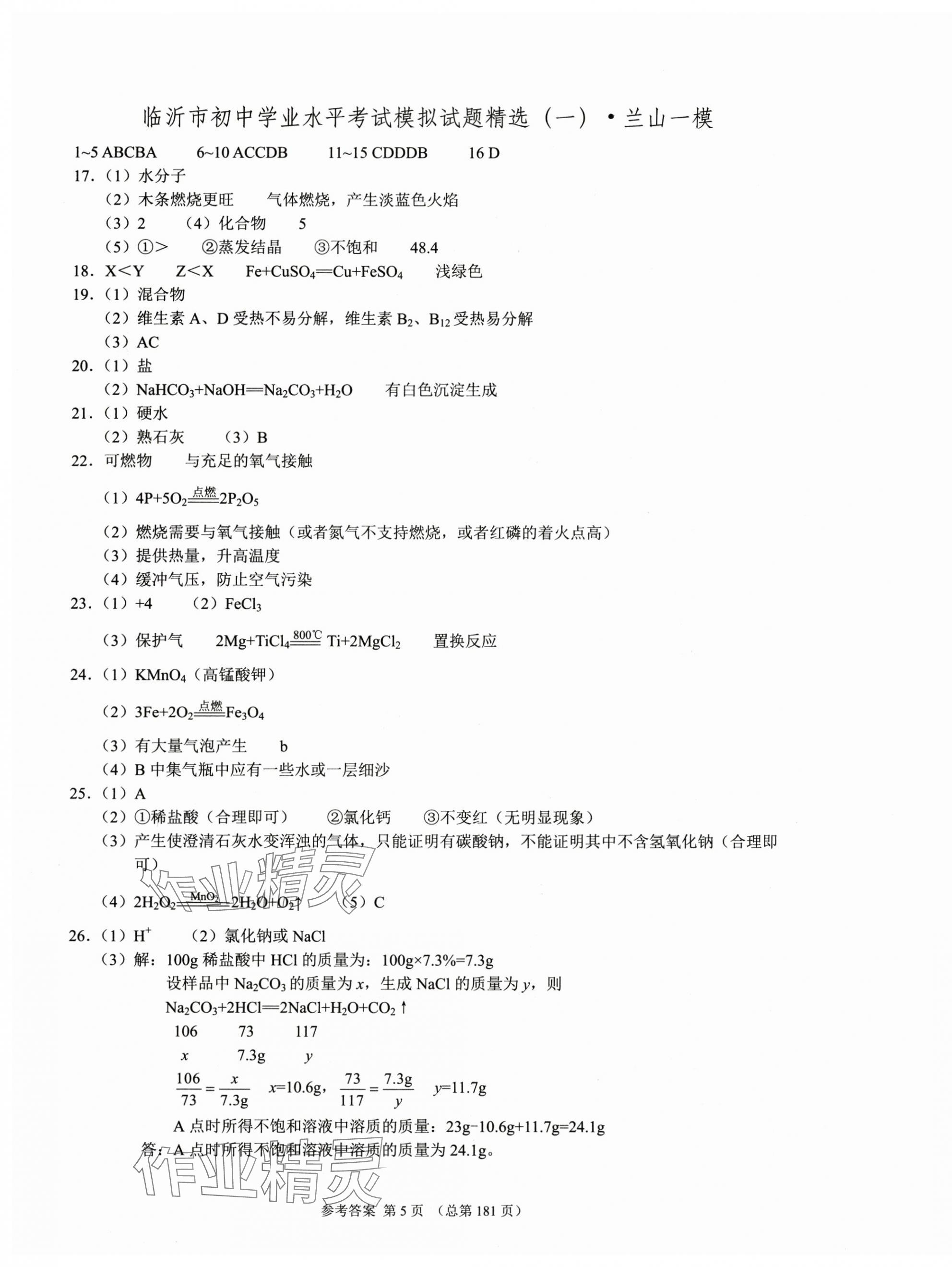 2025年中考超级模拟中考211化学临沂专版&nbsp;第5页