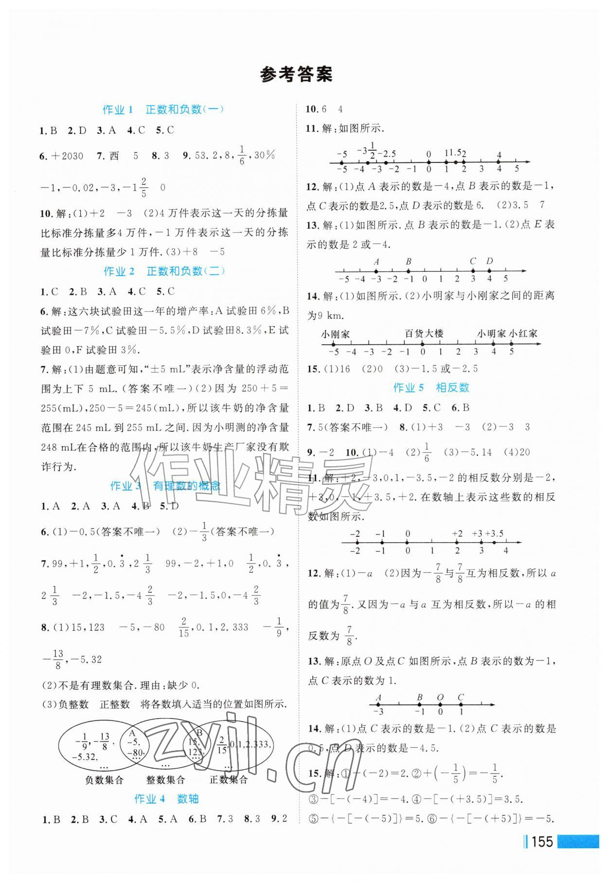 2026年作业新编七年级数学上册人教版&nbsp;第1页