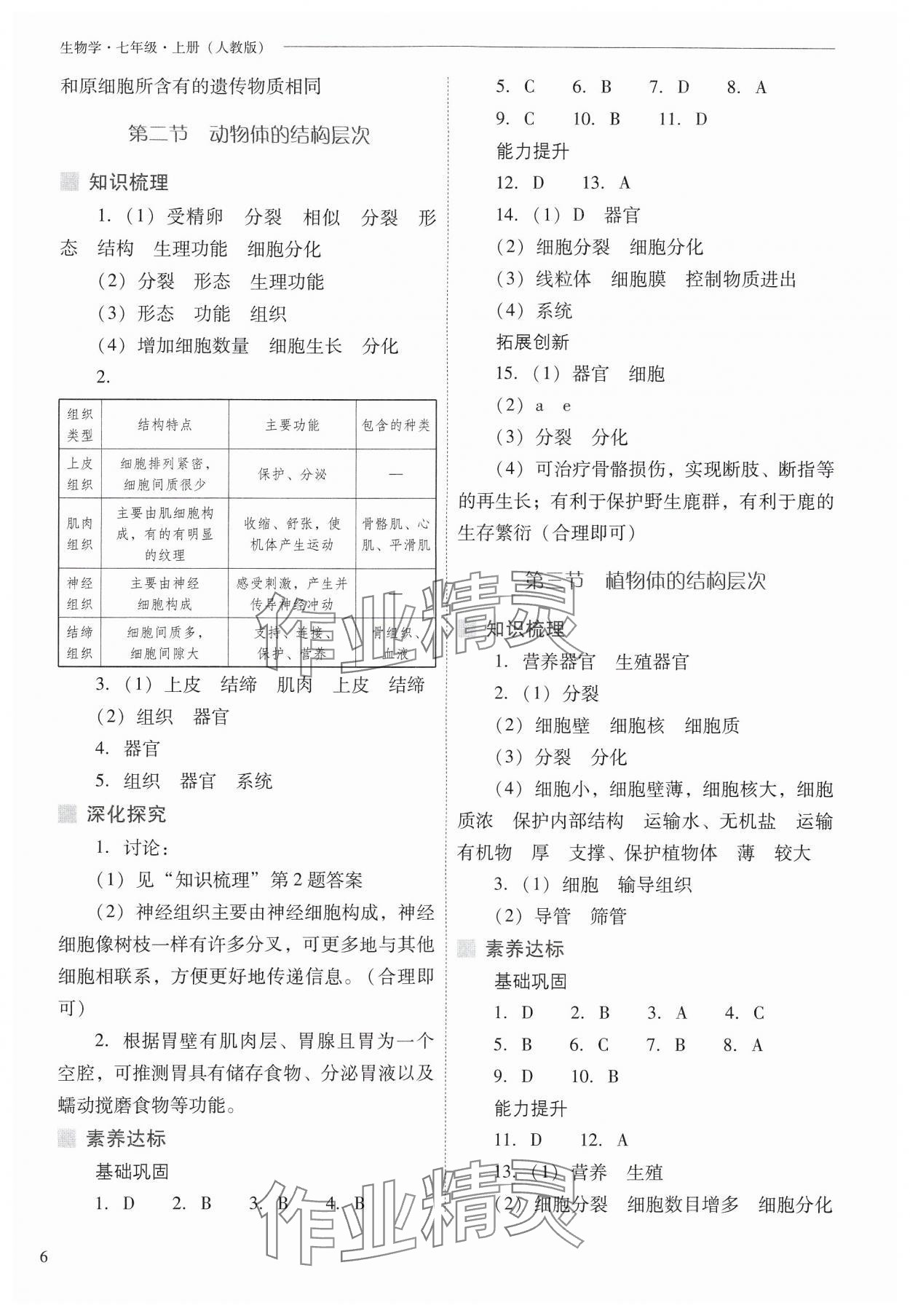 2024年新課程問題解決導(dǎo)學(xué)方案七年級生物上冊人教版 參考答案第6頁