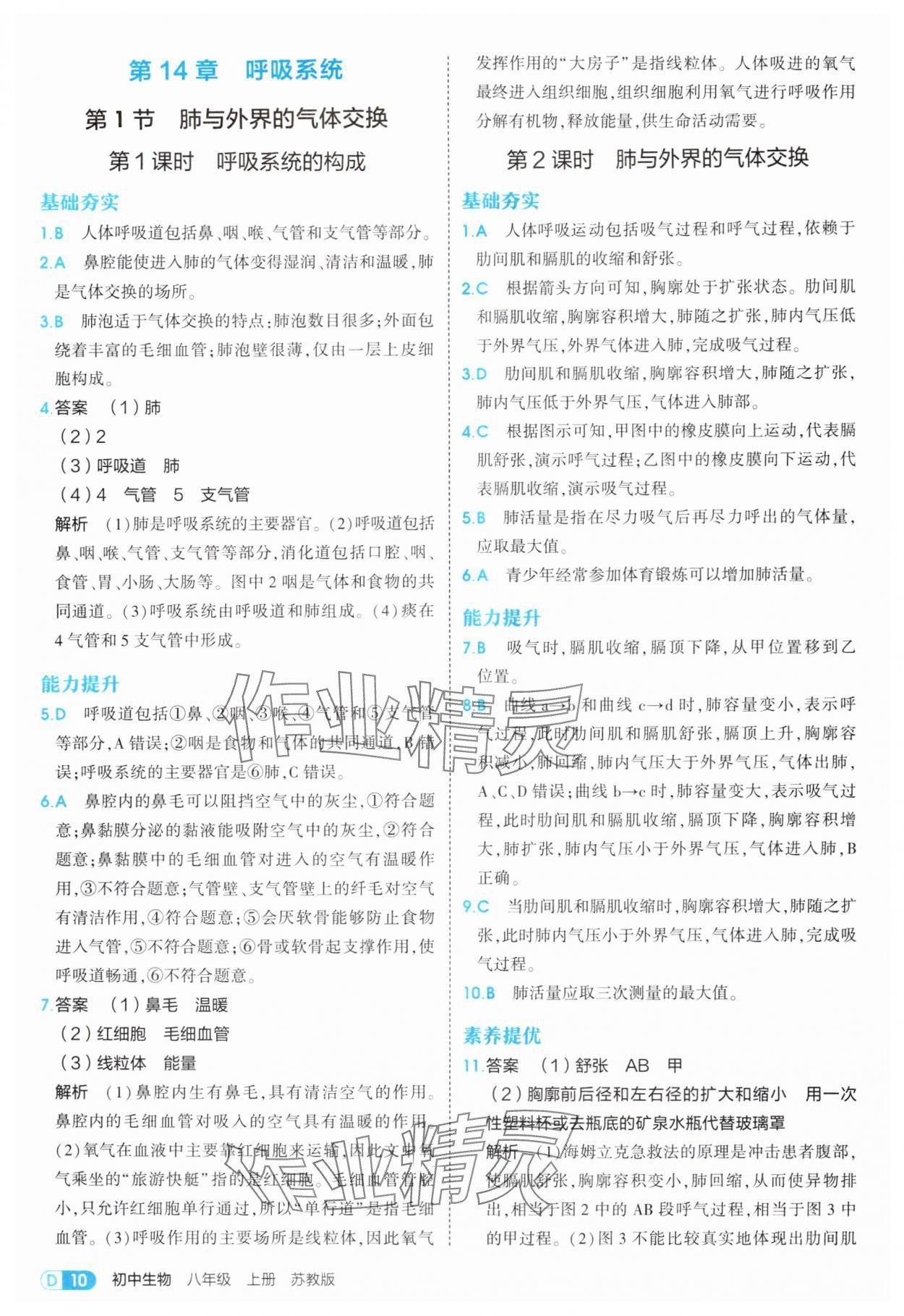2025年5年中考3年模擬八年級生物上冊蘇教版 第10頁