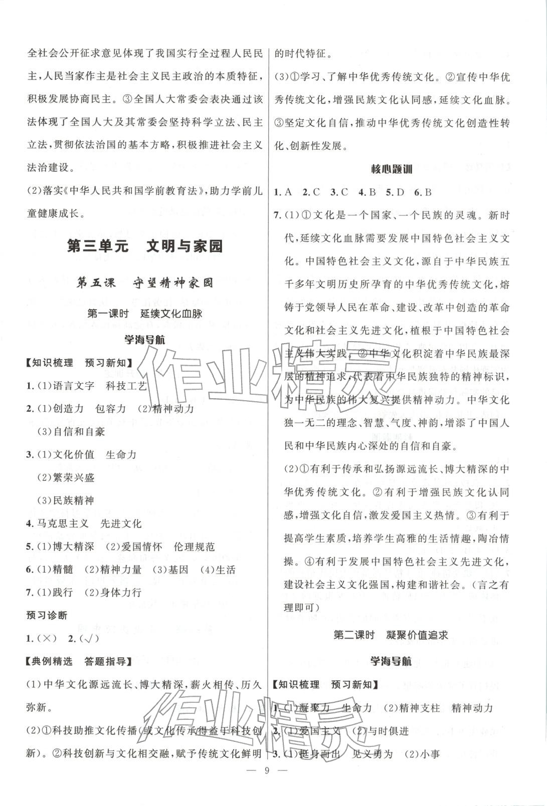 2025年頂尖課課練九年級道德與法治全一冊人教版貴州專版 第9頁