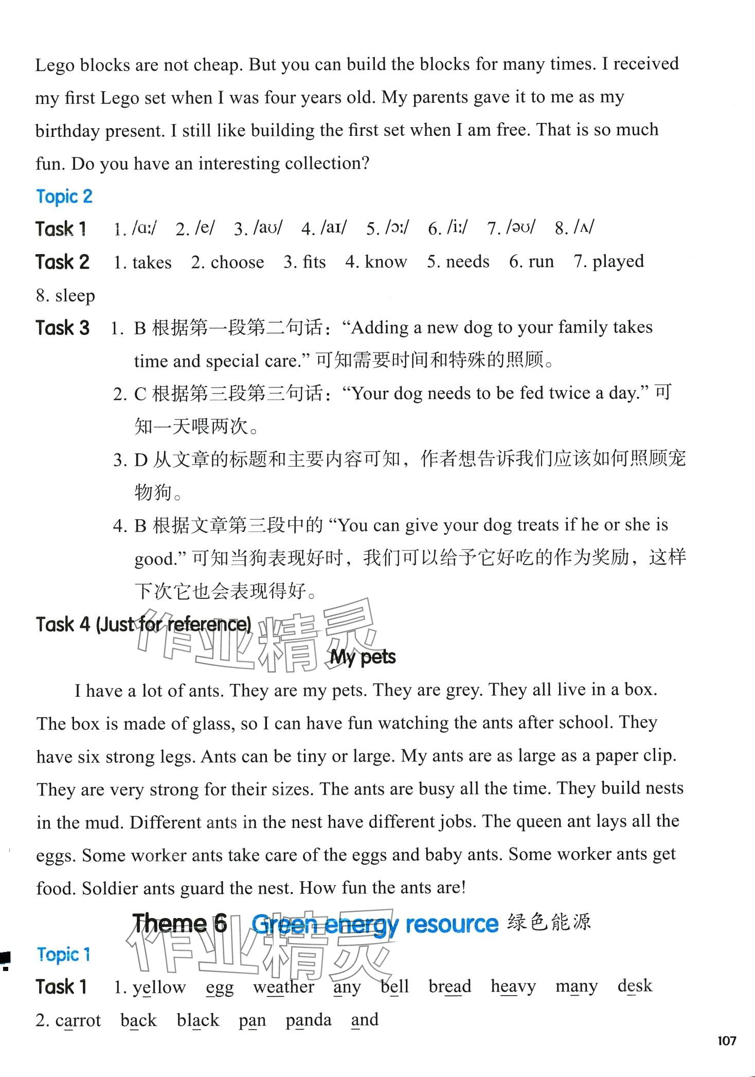 2024年全新英语阅读四年级&nbsp;第6页