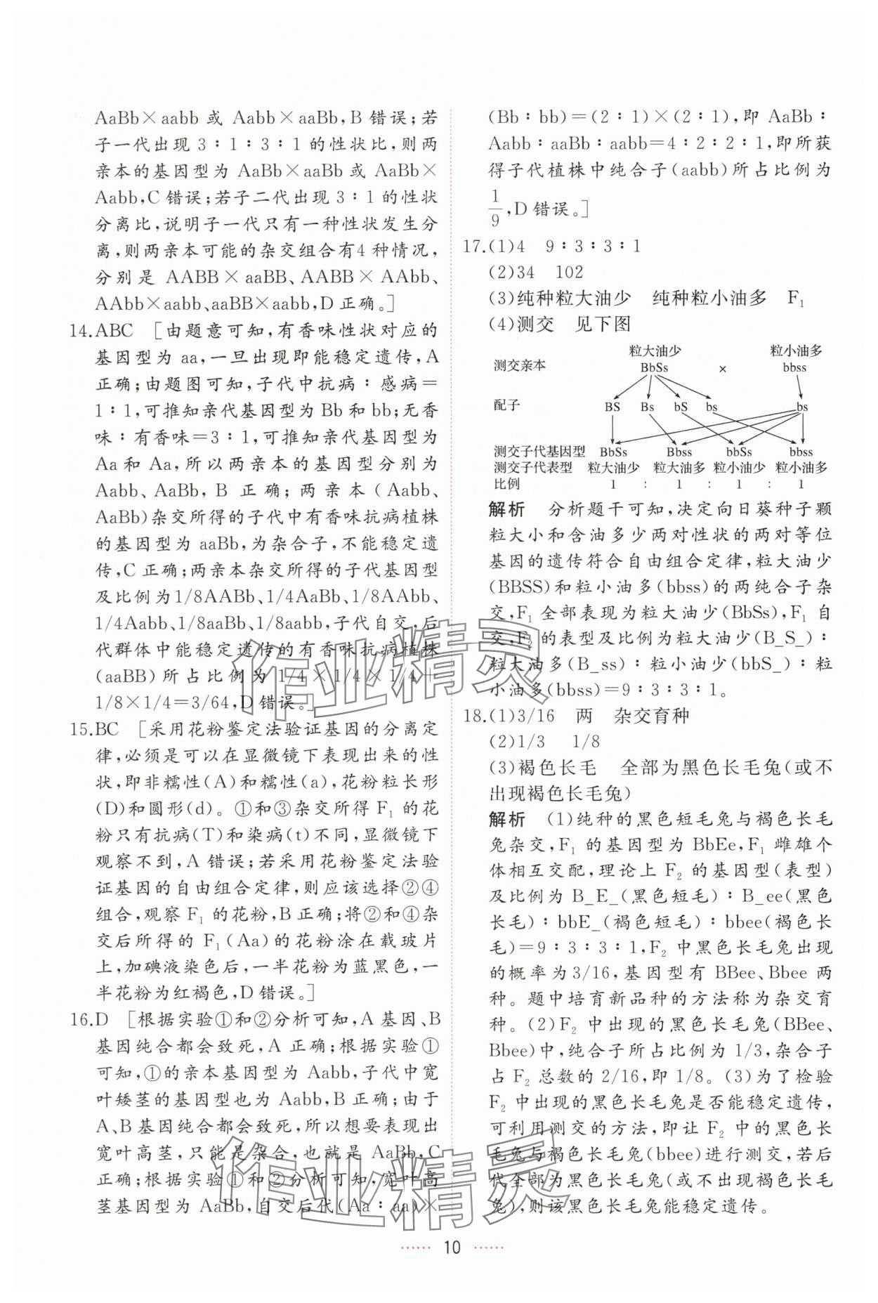2025年三維隨堂精練高中生物必修2人教版 第10頁