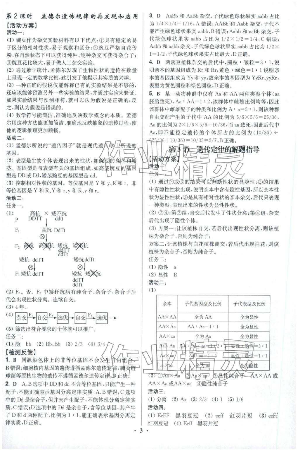 2025年活动单导学课程高中生物必修第二册人教版&nbsp;第3页