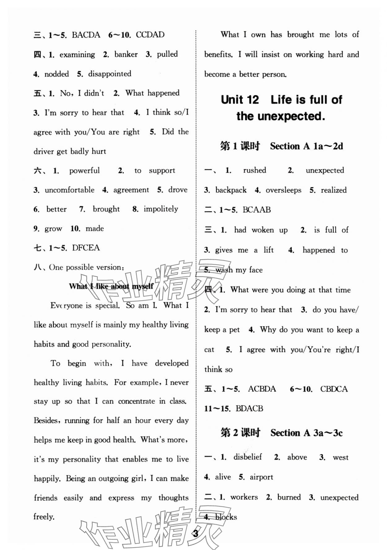 2025年通城學(xué)典課時(shí)作業(yè)本九年級(jí)英語(yǔ)下冊(cè)人教版 第3頁(yè)