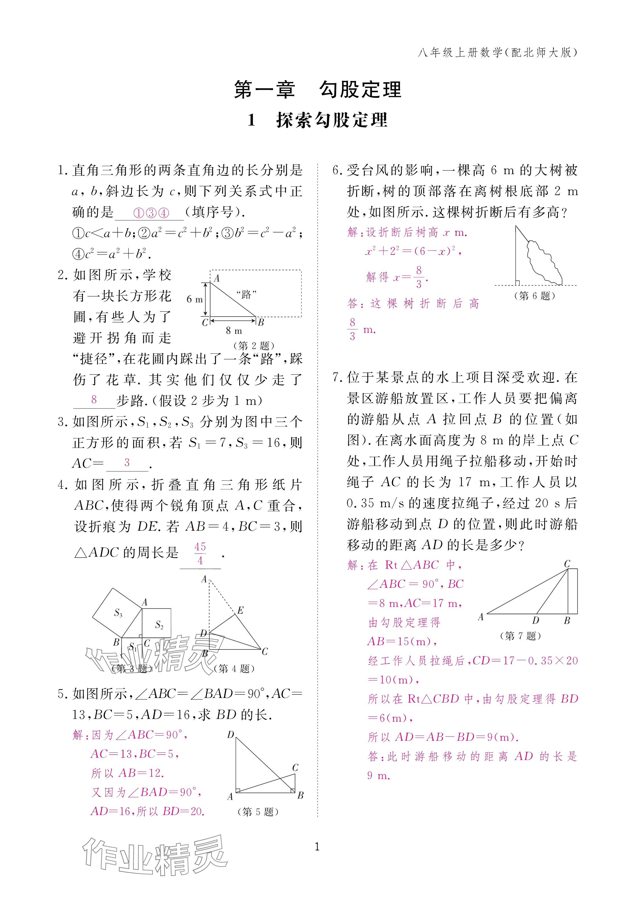 2024年作业本江西教育出版社八年级数学上册北师大版 第1页