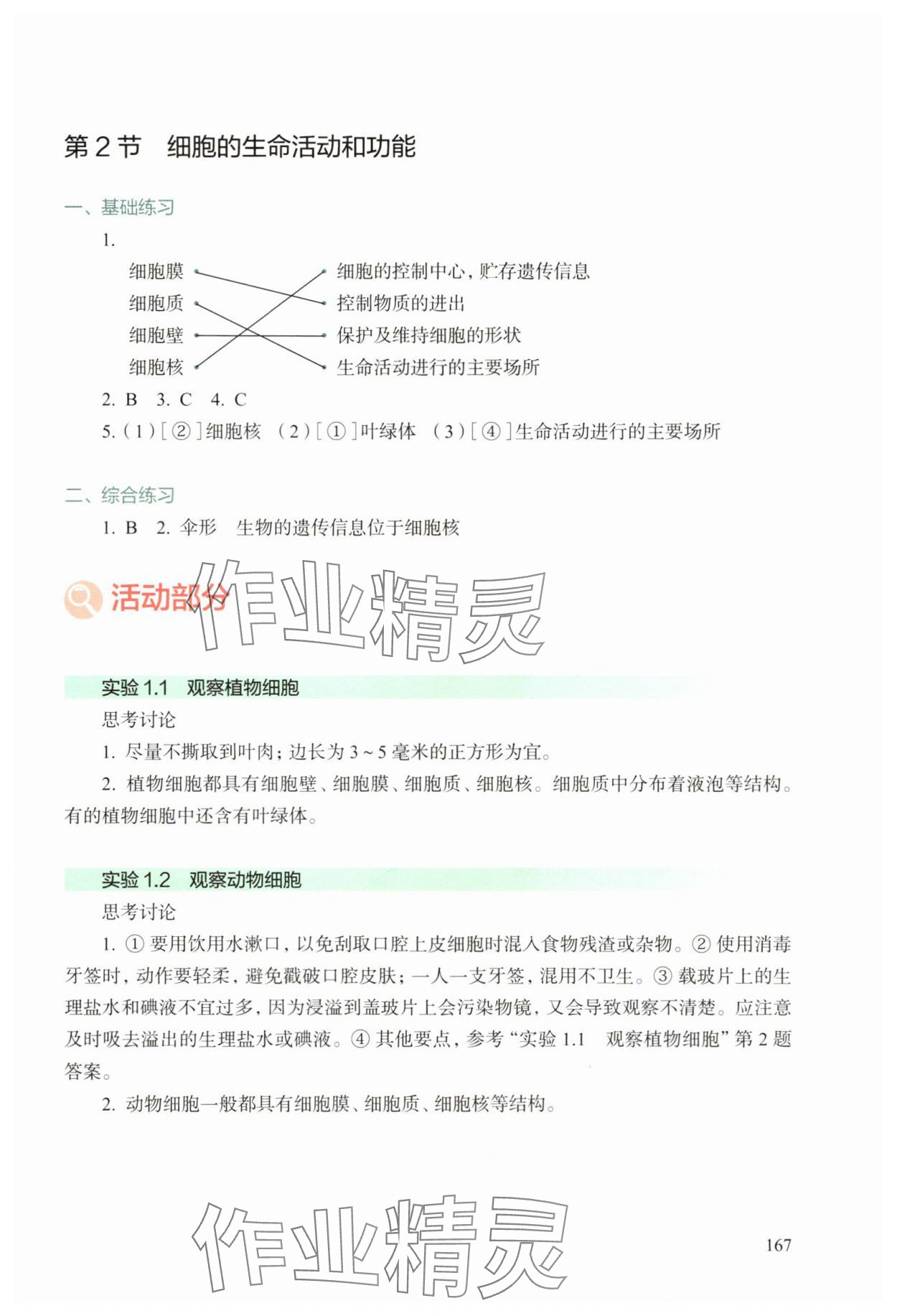 2025年综合活动手册七年级生物上册沪教版五四制 参考答案第2页