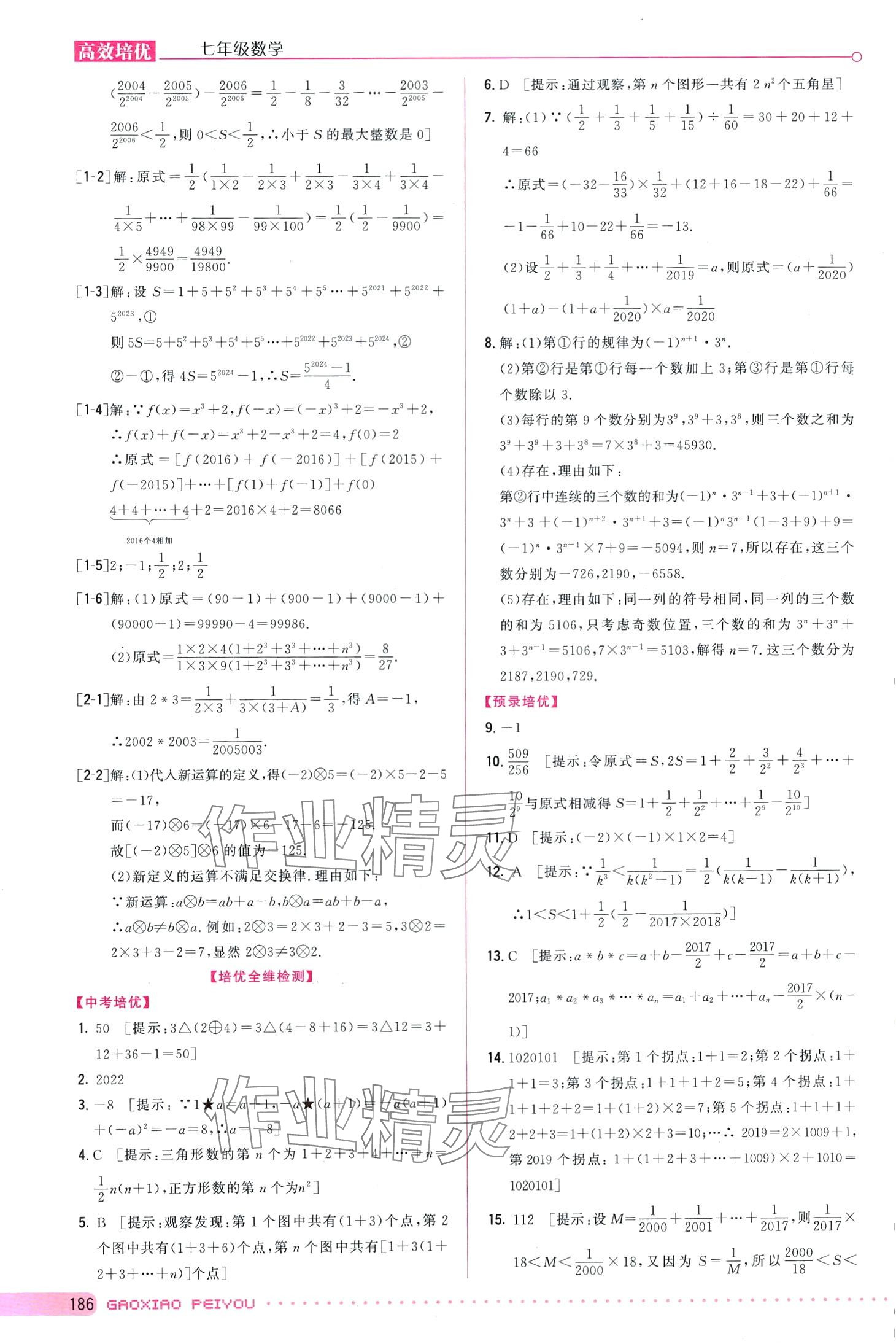 2024年預錄培優(yōu)教程高效培優(yōu)七年級數(shù)學全一冊通用版 第3頁