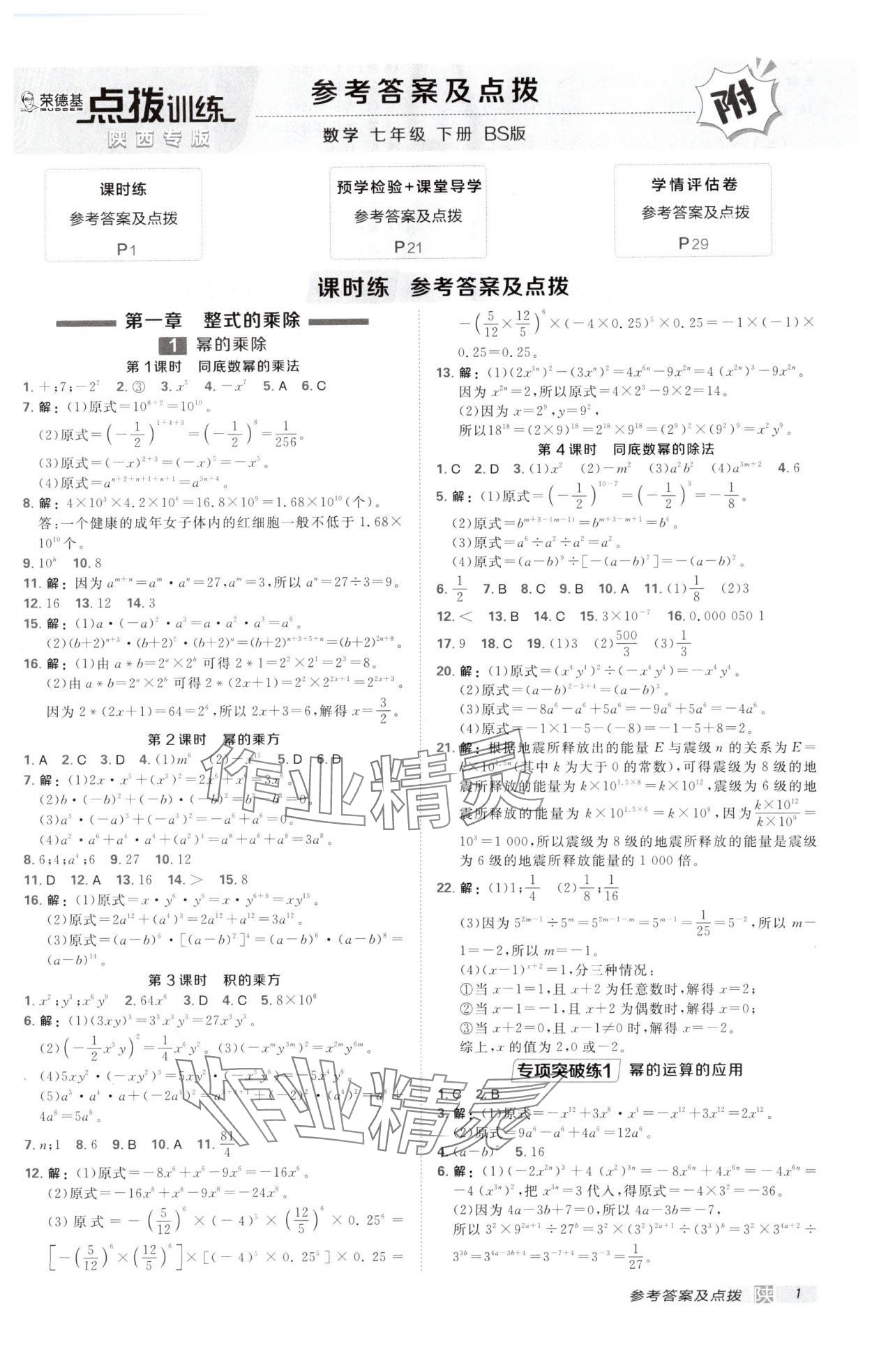 2025年點撥訓(xùn)練七年級數(shù)學(xué)下冊北師大版陜西專版 第1頁