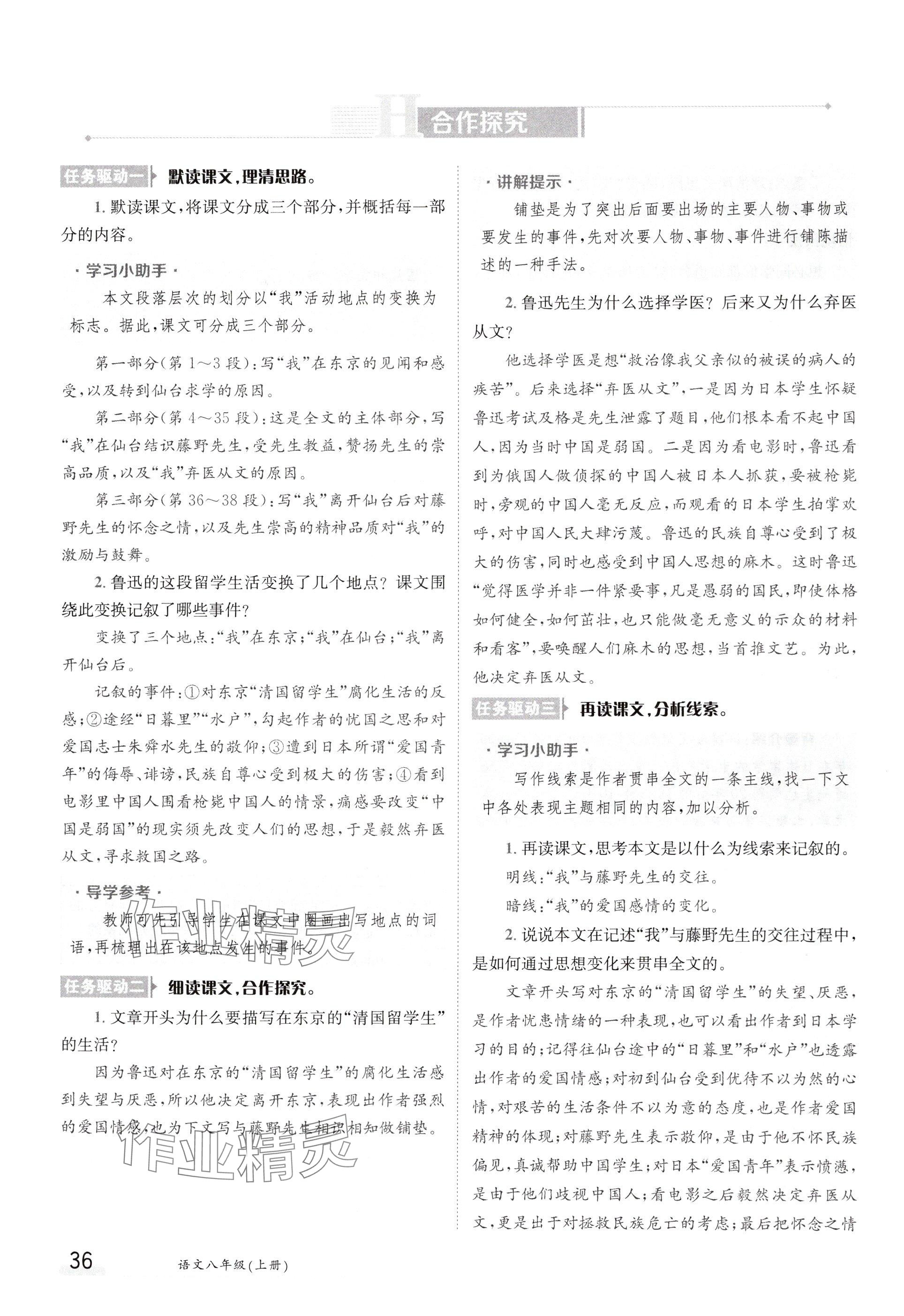 2024年金太陽導學案八年級語文上冊人教版 參考答案第36頁