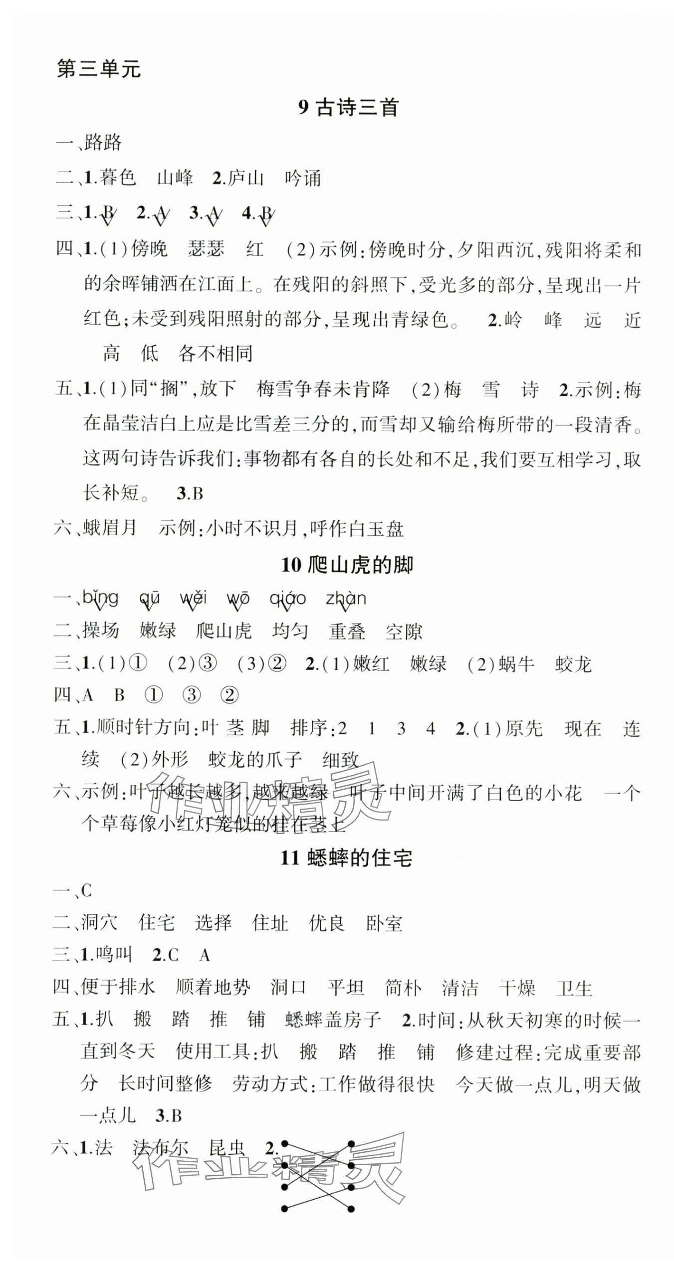 2025年状元成才路创优作业100分四年级语文上册人教版贵州专版 参考答案第5页