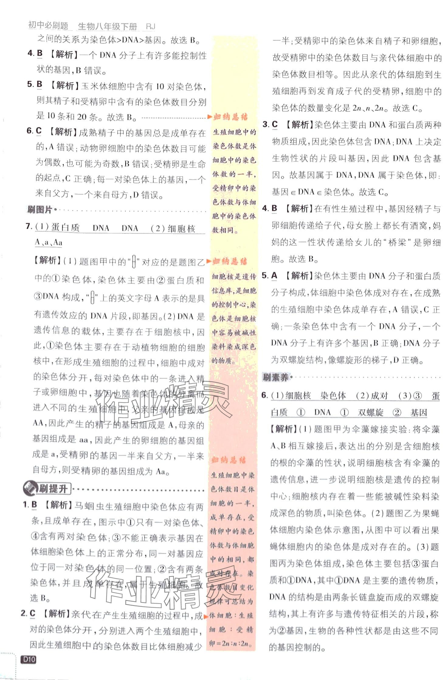 2024年初中必刷题八年级生物下册人教版 第10页