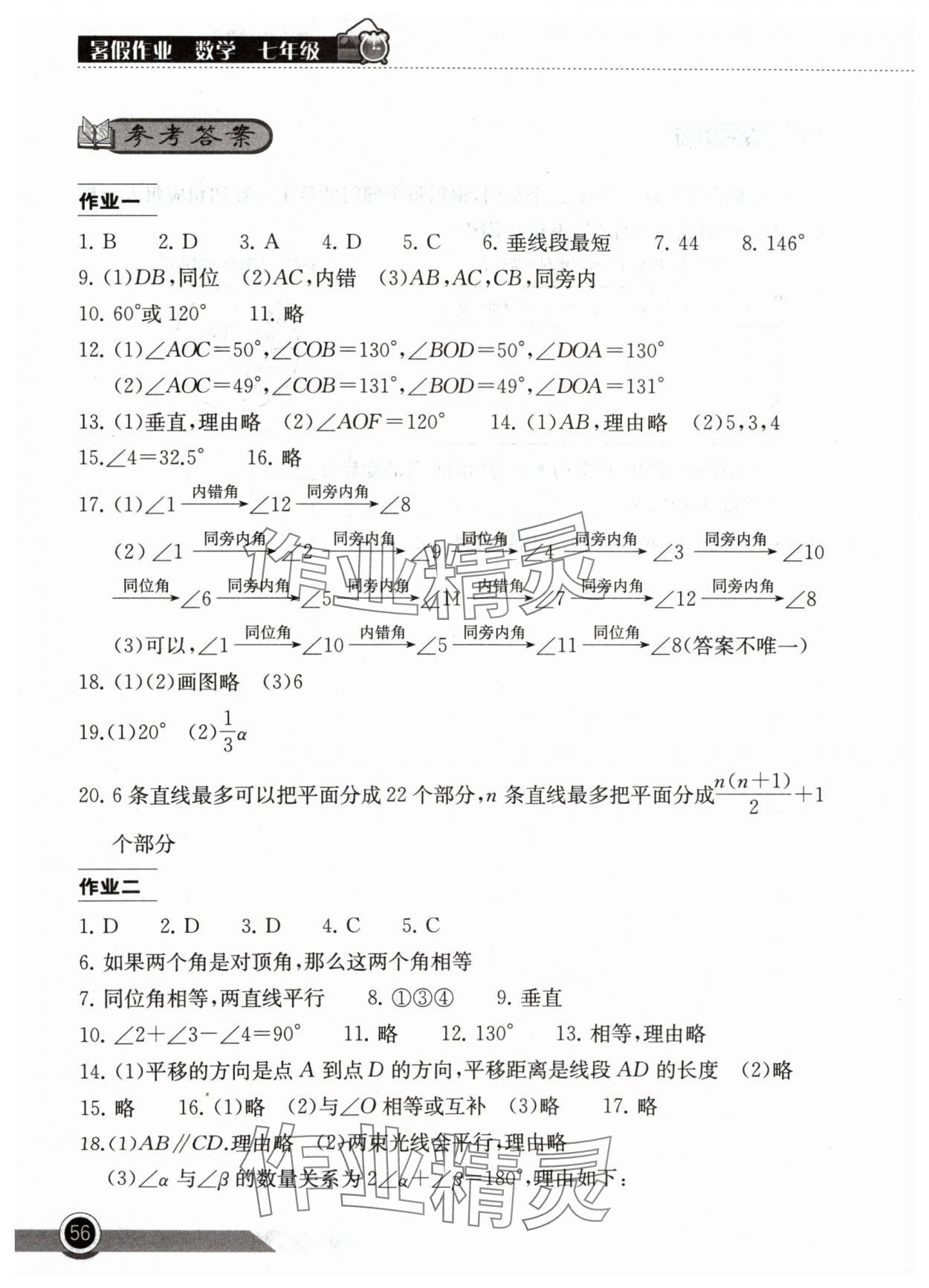 2024年长江作业本暑假作业湖北教育出版社七年级数学人教版 参考答案第1页