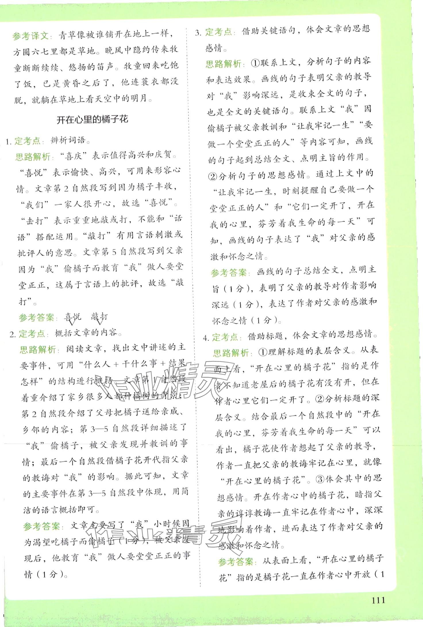 2024年阅读理解与答题模板五年级语文下册人教版 第2页