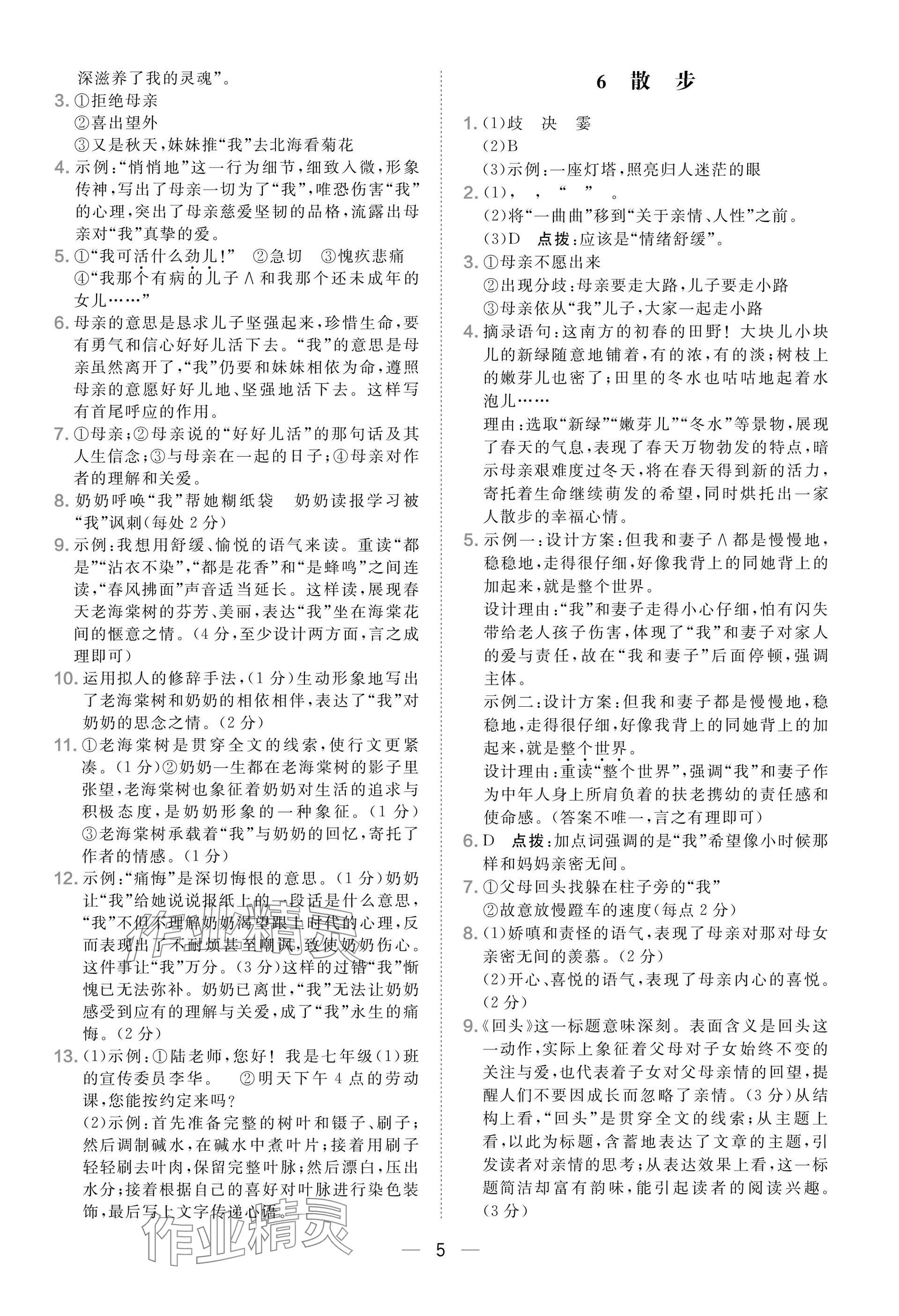 2025年点拨训练七年级语文上册人教版安徽专版 参考答案第5页