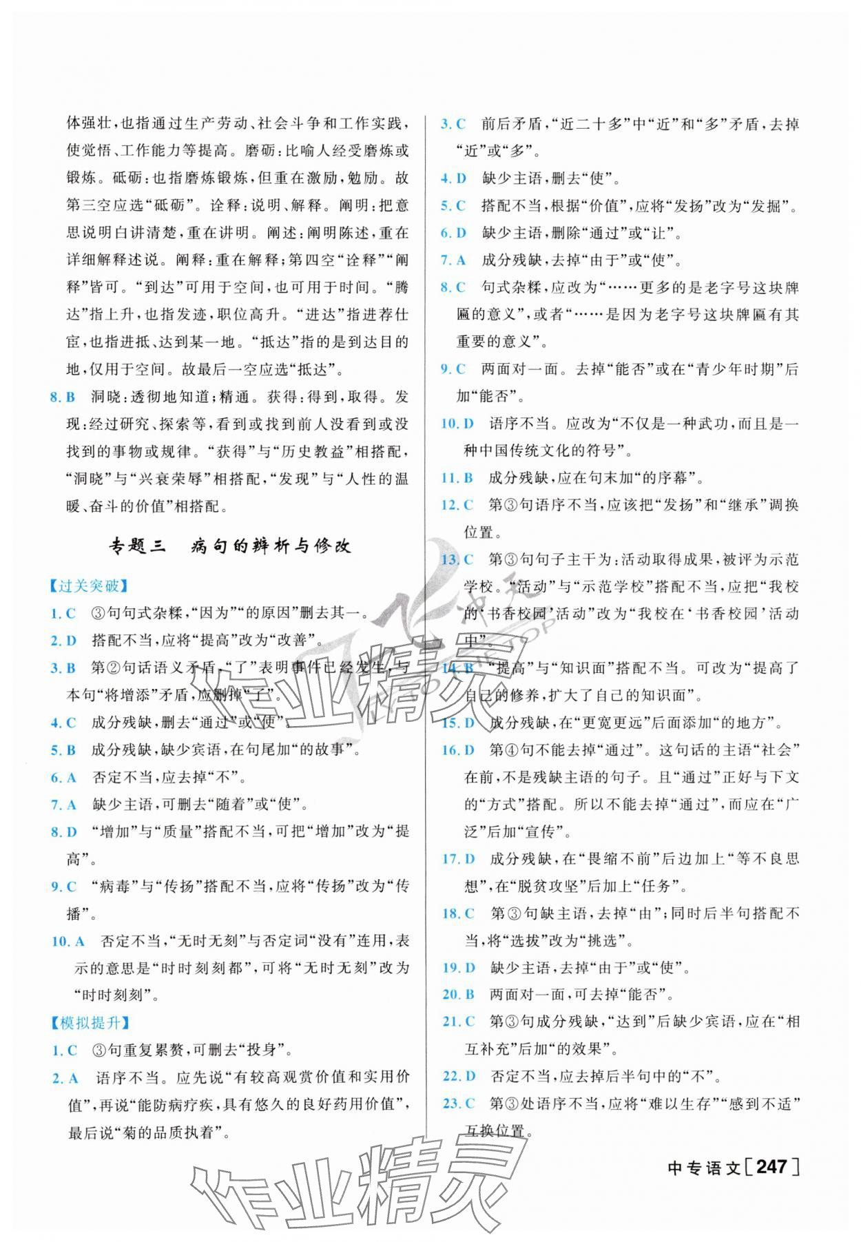 2024年一飞冲天中考专项精品试题分类语文 第7页