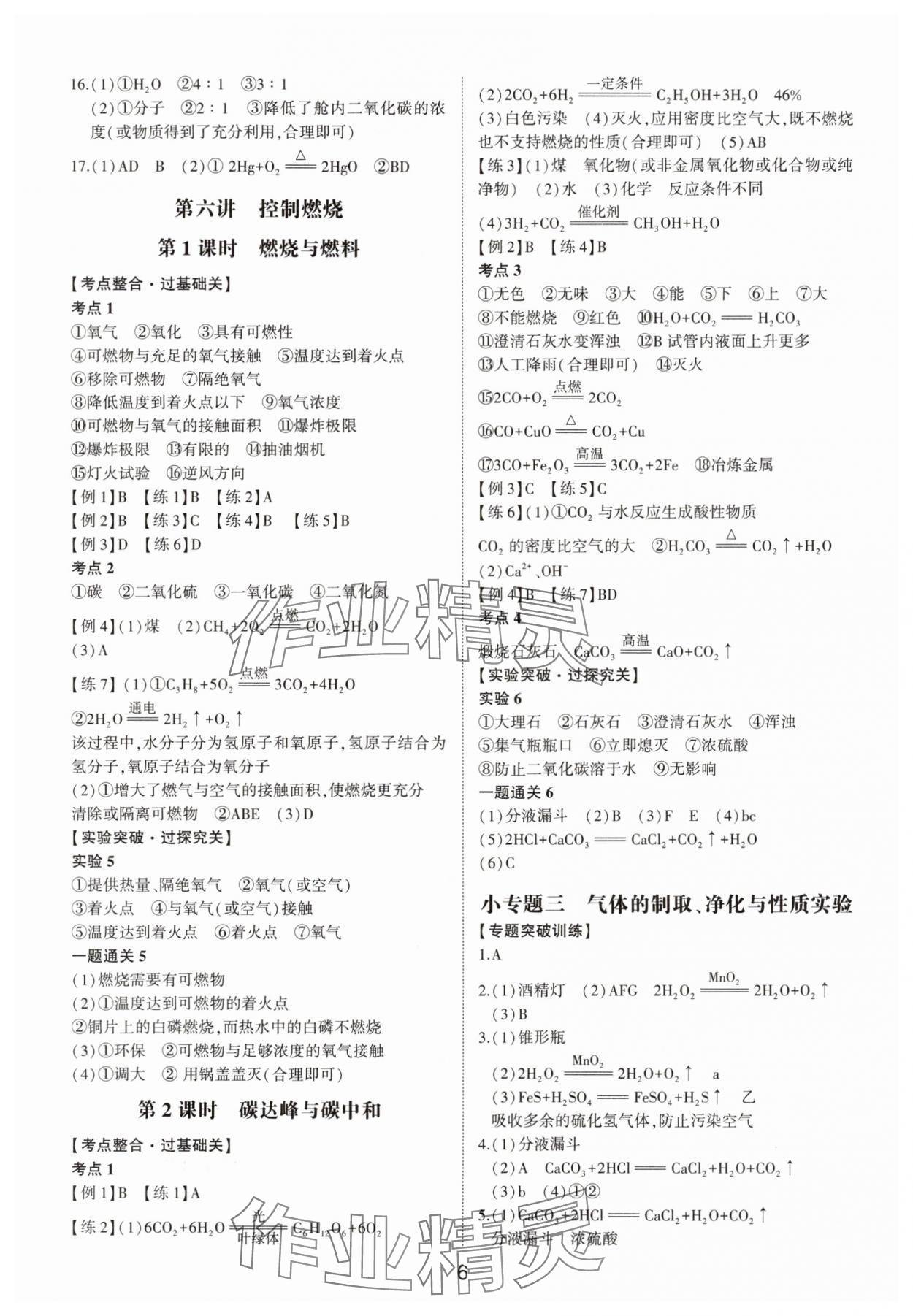 2025年中考状元化学鲁教版山东专版 参考答案第5页