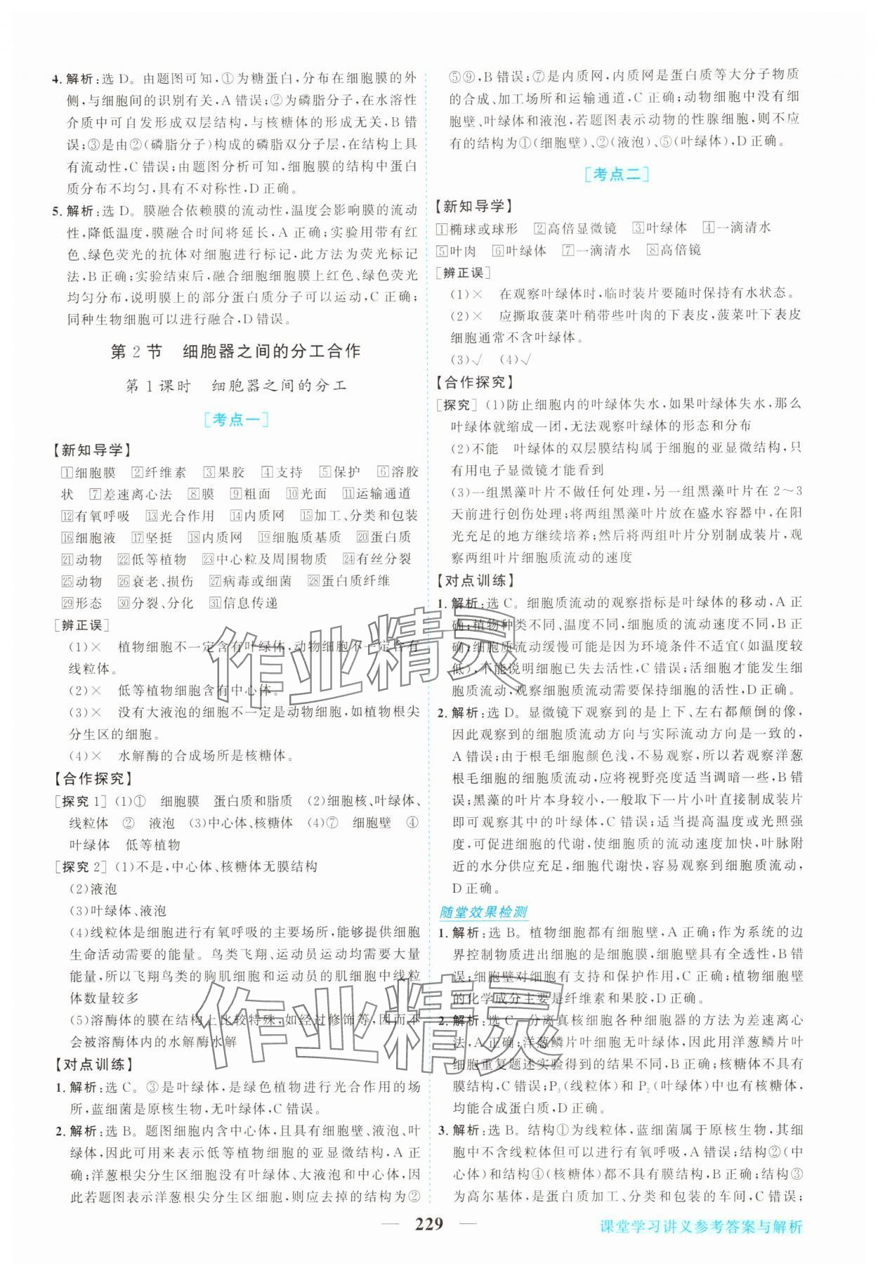 2025年新坐标同步练习高中生物必修第一册人教版 第9页