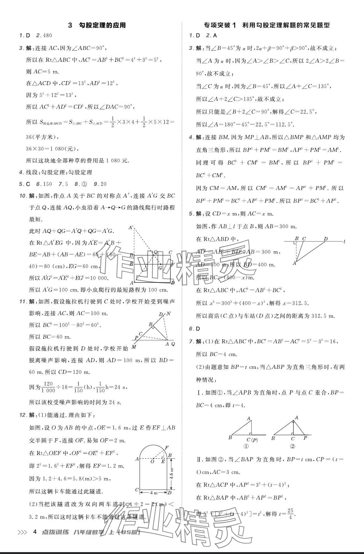 2024年點(diǎn)撥訓(xùn)練八年級(jí)數(shù)學(xué)上冊(cè)北師大版 參考答案第3頁